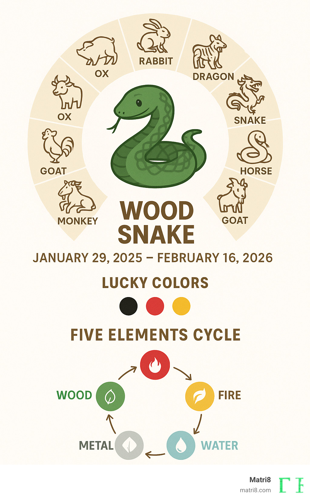 Detailed infographic showing the 12 Chinese zodiac animals in a circular wheel with the Wood Snake prominently featured in the center, including key dates for 2025, lucky colors (black, red, yellow), and the five elements cycle - chinese zodiac sign for 2025 infographic 