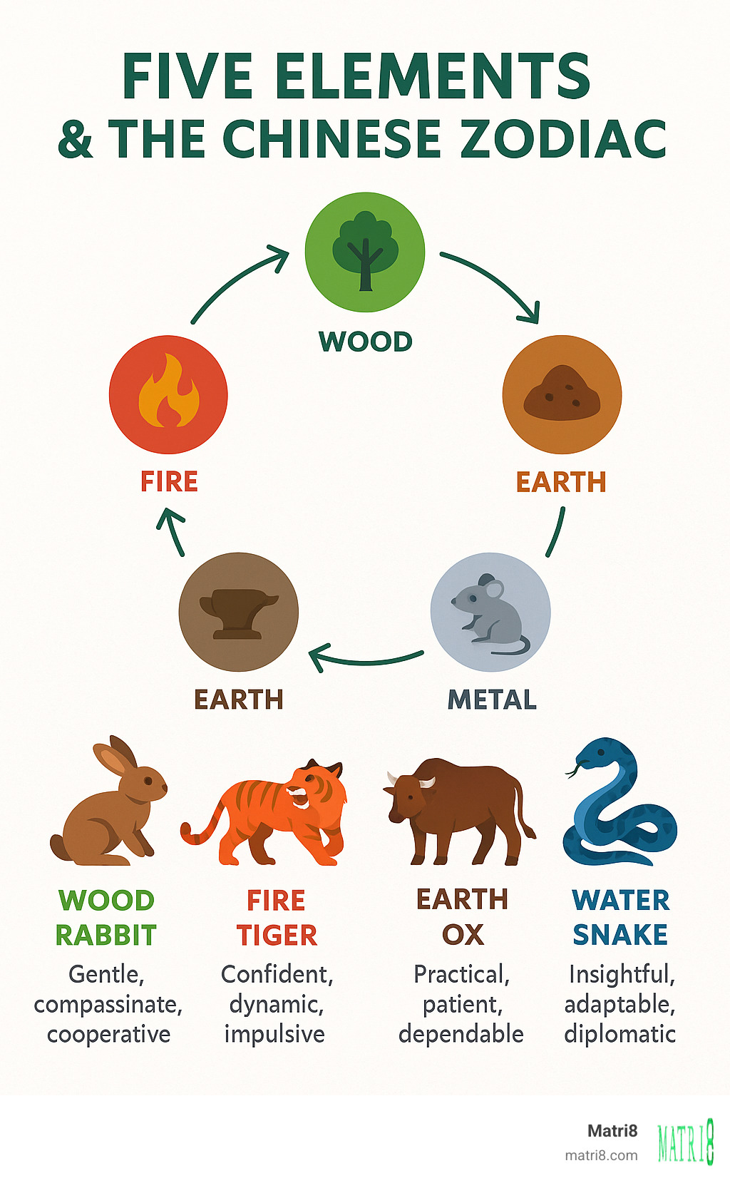 Infographic showing the five elements cycle and how they modify each zodiac animal's characteristics - chinese zodiac sign by date infographic Infographic showing the five elements cycle and how they modify each zodiac animal's characteristics - chinese zodiac sign by date infographic