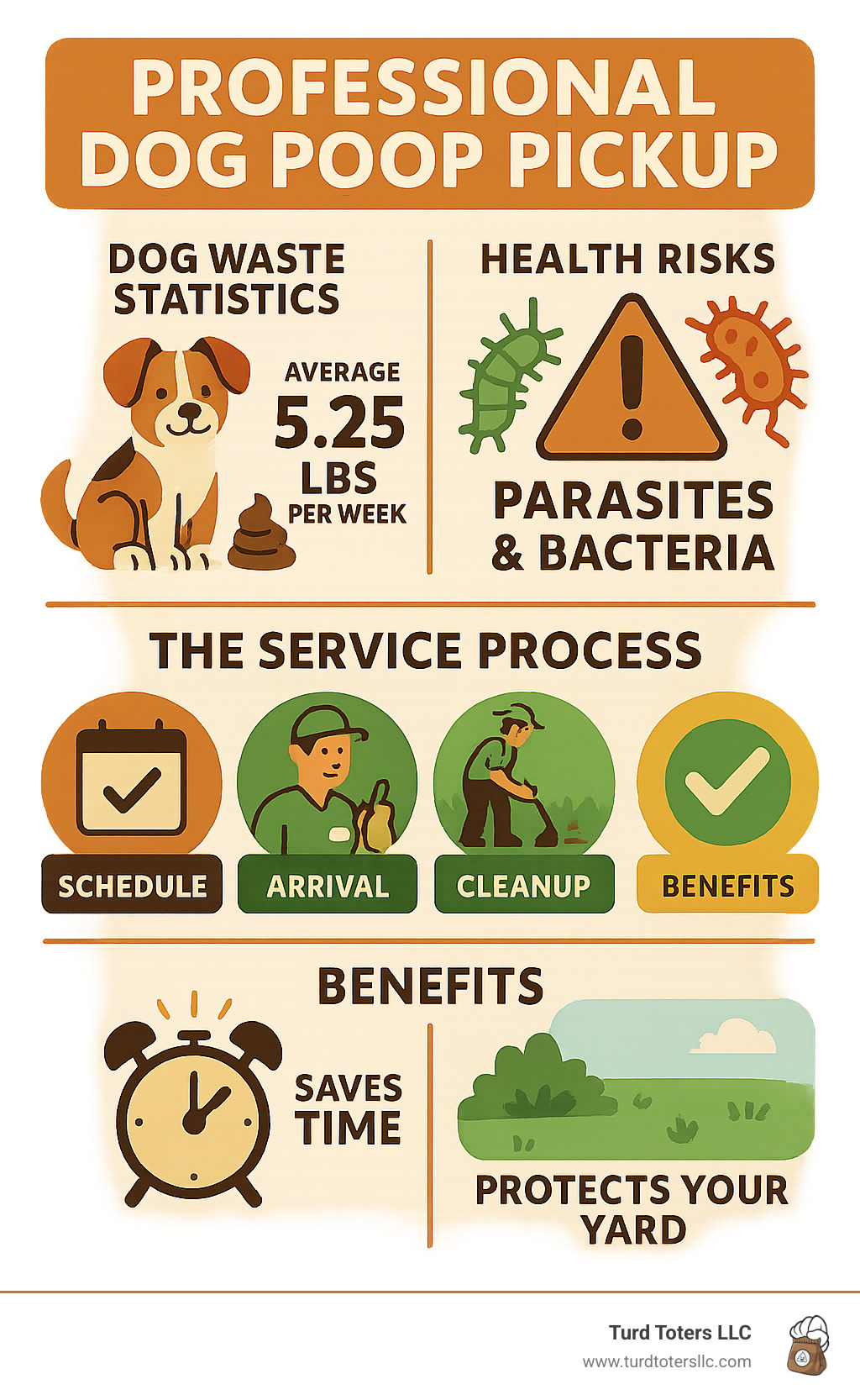 Infographic showing dog waste statistics: average 5.25 lbs per week per dog, health risks including parasites and bacteria, service process from scheduling to cleanup, and benefits including time savings and yard protection - professional dog poop pickup infographic 