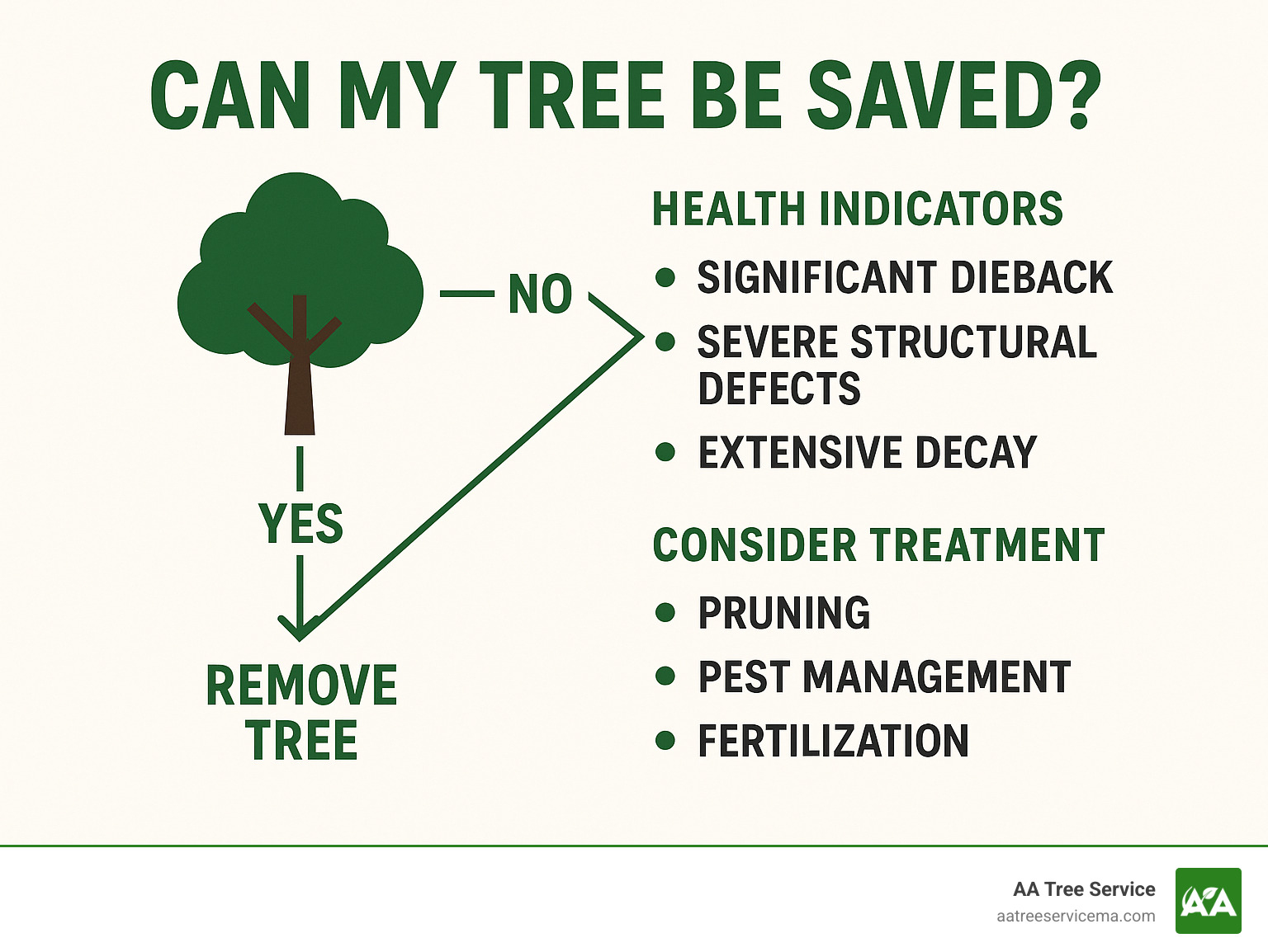 Infographic showing the decision tree process for evaluating whether a tree can be saved through treatment versus requiring removal, including key health indicators and treatment options - local tree companies near me infographic 
