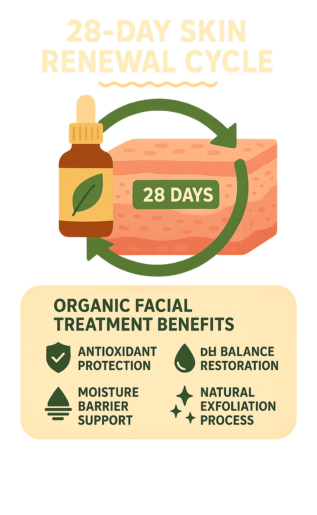 Infographic showing the 28-day skin renewal cycle with organic facial treatment benefits including antioxidant protection, pH balance restoration, moisture barrier support, and natural exfoliation process - Organic facial treatments infographic 