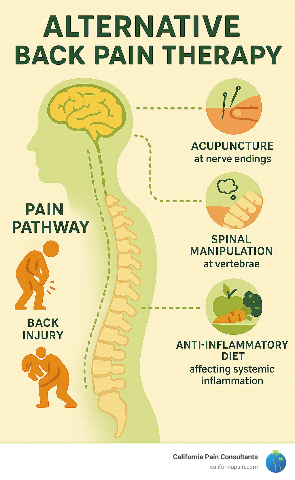 Comprehensive infographic showing the pain pathway from injury through spinal cord to brain, with intervention points for various alternative therapies including acupuncture at nerve endings, spinal manipulation at vertebrae, mindfulness at brain level, and anti-inflammatory diet affecting systemic inflammation - alternative back pain therapy infographic 