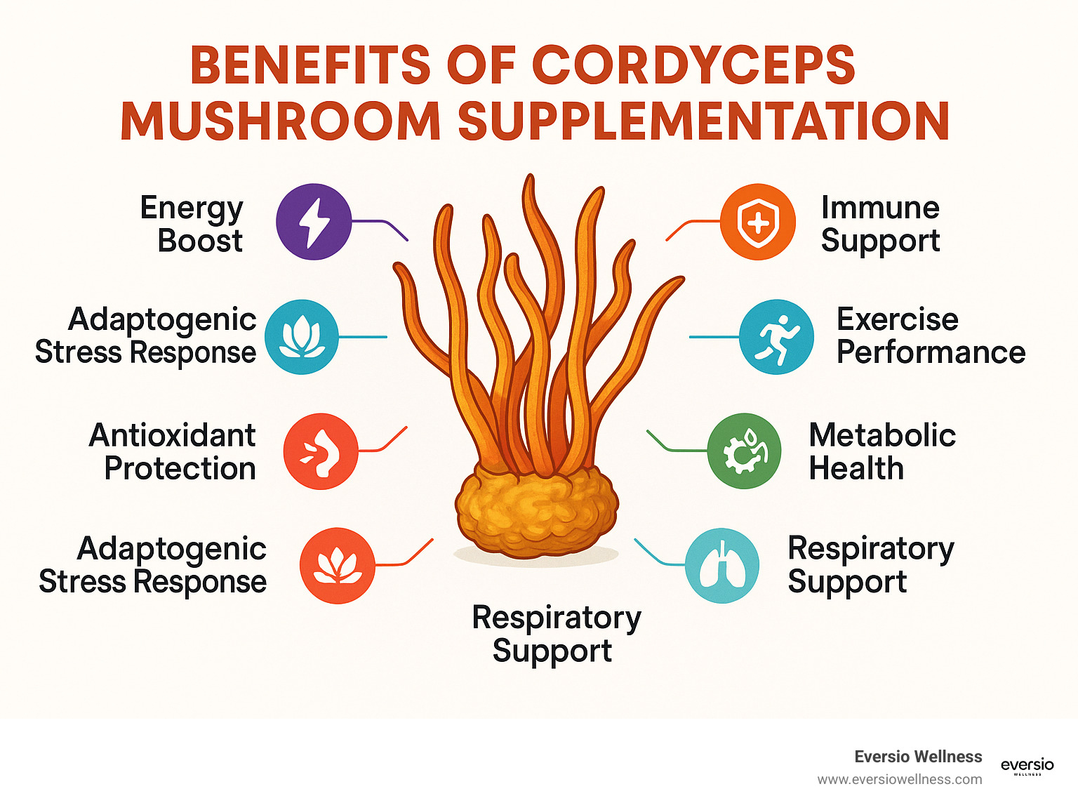Benefits of Cordyceps Mushroom Supplementation including energy boost, immune support, exercise performance, anti-inflammatory effects, metabolic health, respiratory support, antioxidant protection, and adaptogenic stress response - benefits of cordyceps mushroom supplementation infographic 