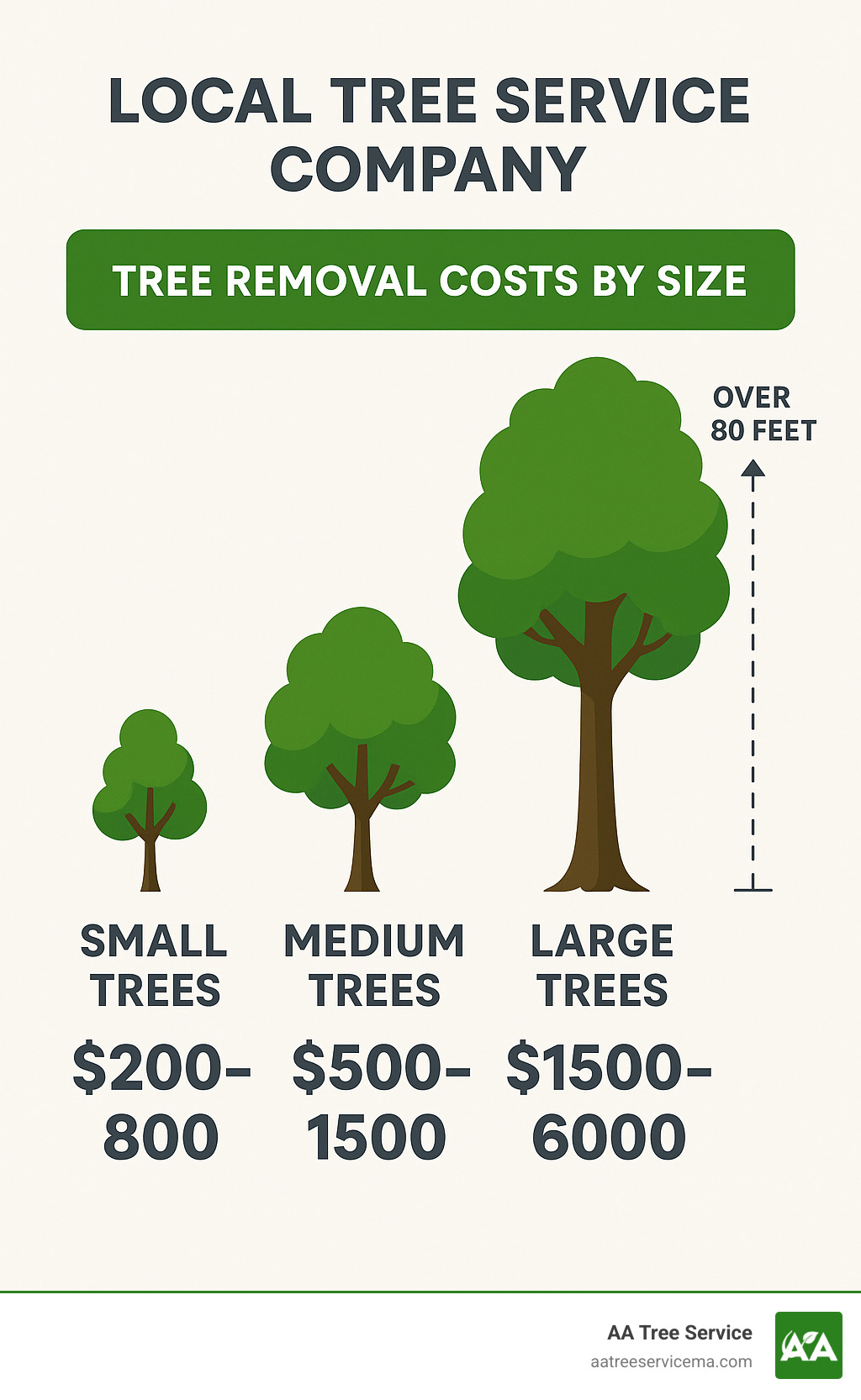 Infographic comparing tree removal costs by size - small trees $200-800, medium trees $500-1500, large trees over 80 feet $1500-6000 - Local tree service company infographic 