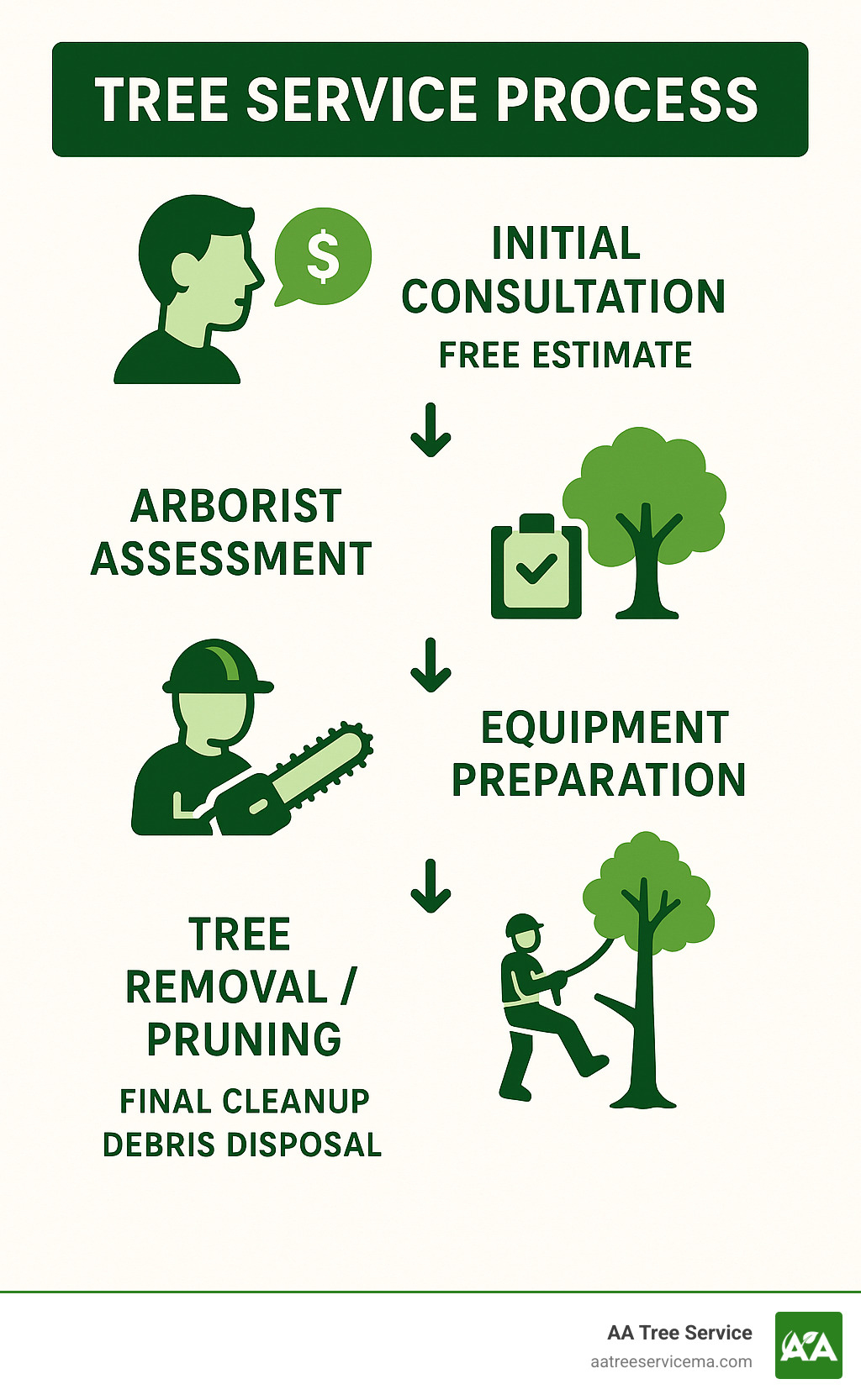 Infographic showing the complete tree service process from initial consultation and free estimate, through certified arborist assessment and equipment preparation, to safe tree removal or pruning, and final cleanup and debris disposal - Local tree service company infographic 