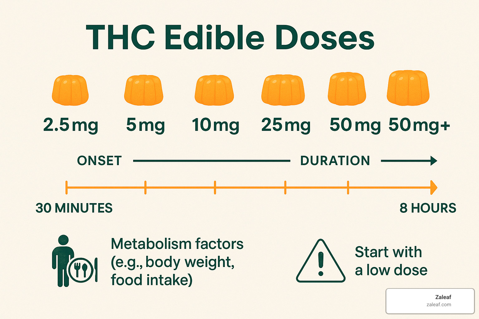 Detailed dosing chart showing different THC levels (2.5mg, 5mg, 10mg, 25mg, 50mg+) with corresponding effects timeline from 30 minutes onset through 8-hour duration, including metabolism factors and first-time user safety tips - cannabis edibles online