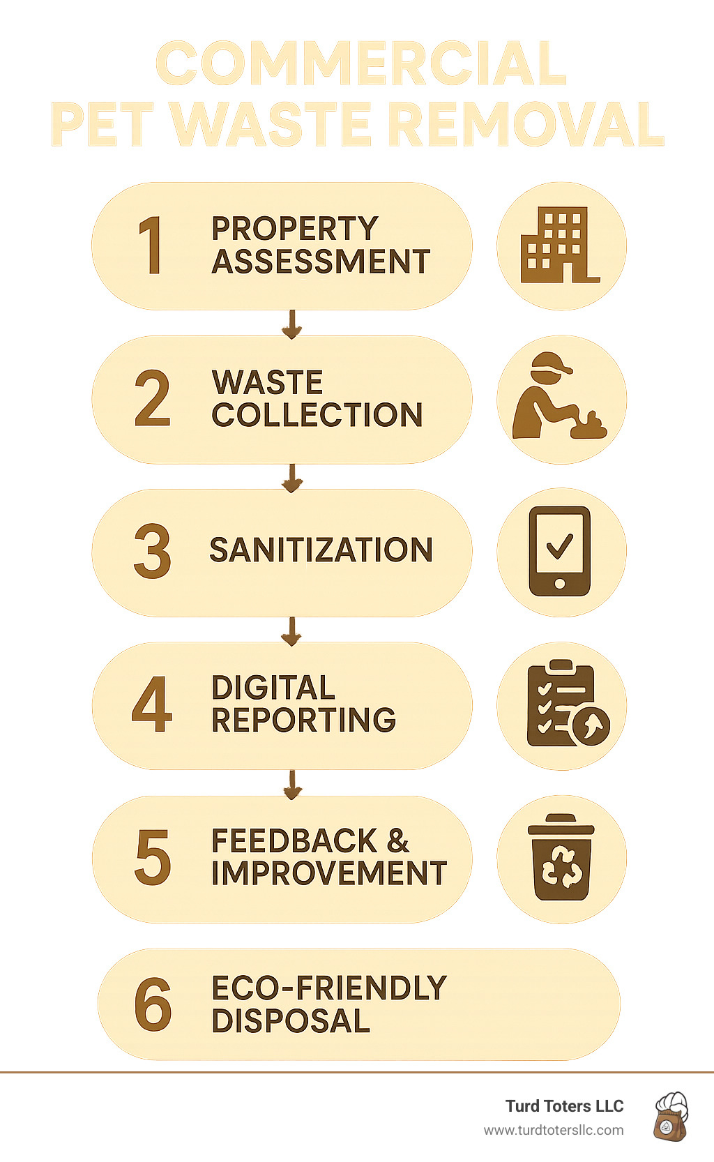 Infographic showing detailed service workflow from property assessment through waste collection, sanitization, digital reporting, and eco-friendly disposal with feedback loops for continuous improvement - commercial pet waste removal infographic 