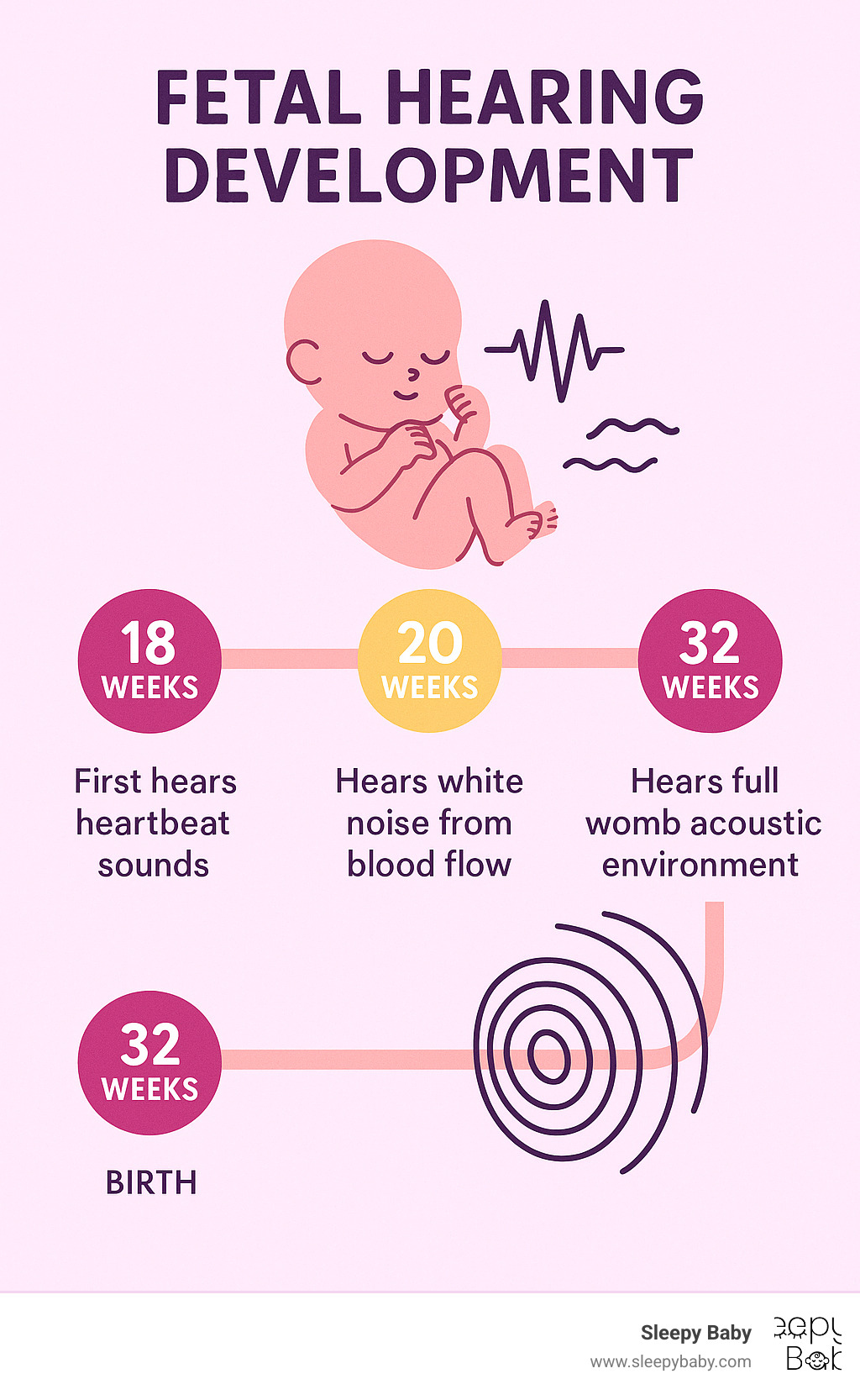 Infographic showing fetal hearing development timeline from 18 weeks to birth, highlighting when babies first hear heartbeat sounds at 20 weeks, white noise from blood flow at 24 weeks, and full womb acoustic environment by 32 weeks - white noise womb heartbeat infographic 