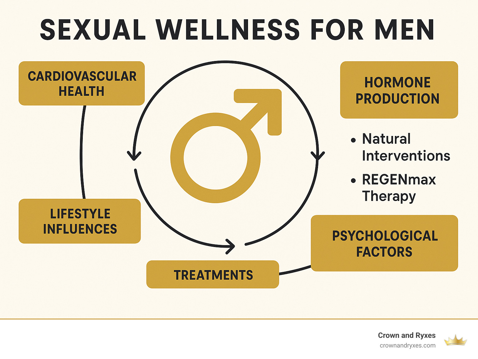Comprehensive infographic showing the male sexual wellness cycle including cardiovascular health, hormone production, psychological factors, lifestyle influences, and treatment pathways from natural interventions to REGENmax therapy - sexual wellness for men infographic 