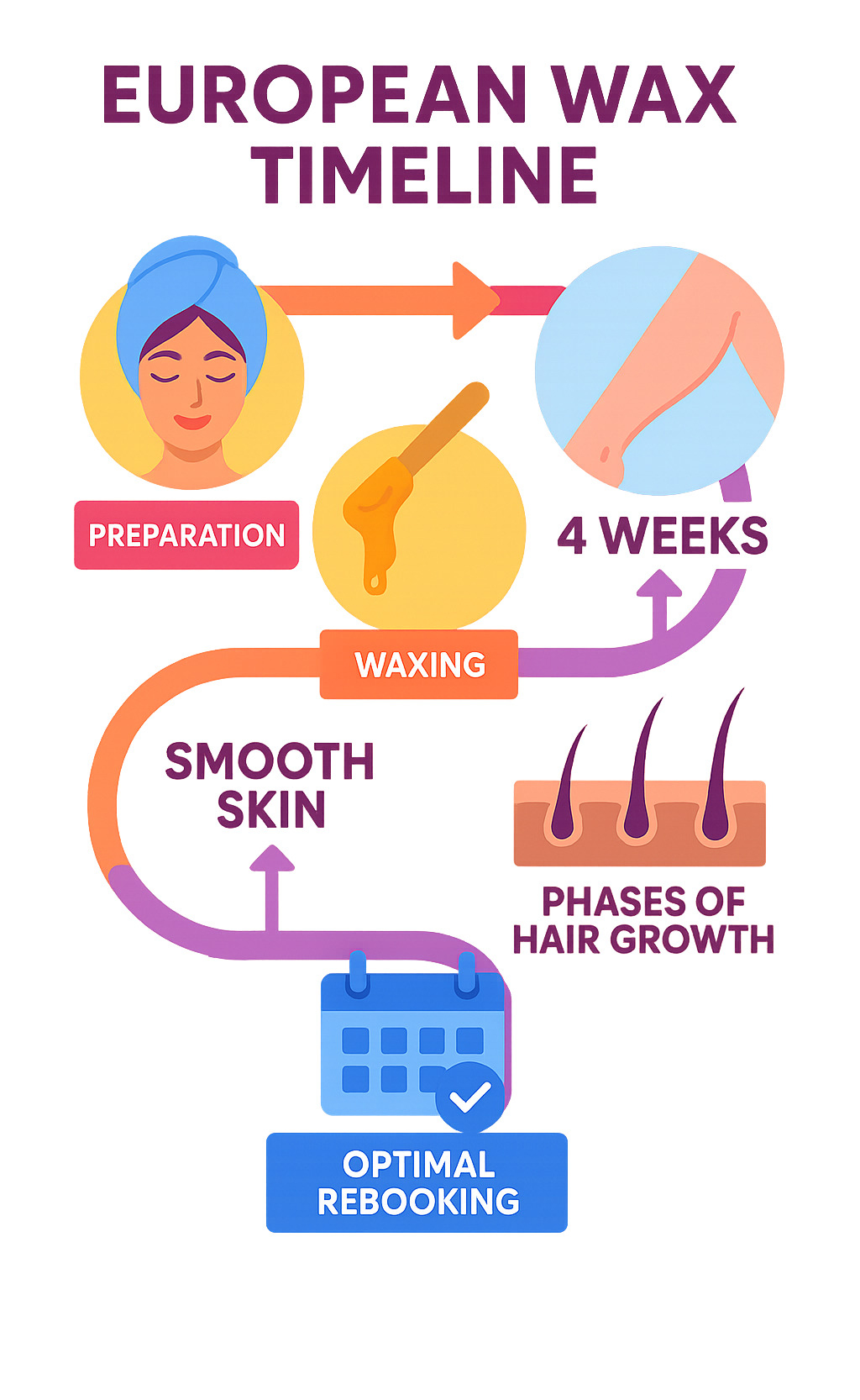 Infographic showing European wax timeline from preparation through 4-week results cycle, including hair growth phases and optimal rebooking schedule - european wax infographic 