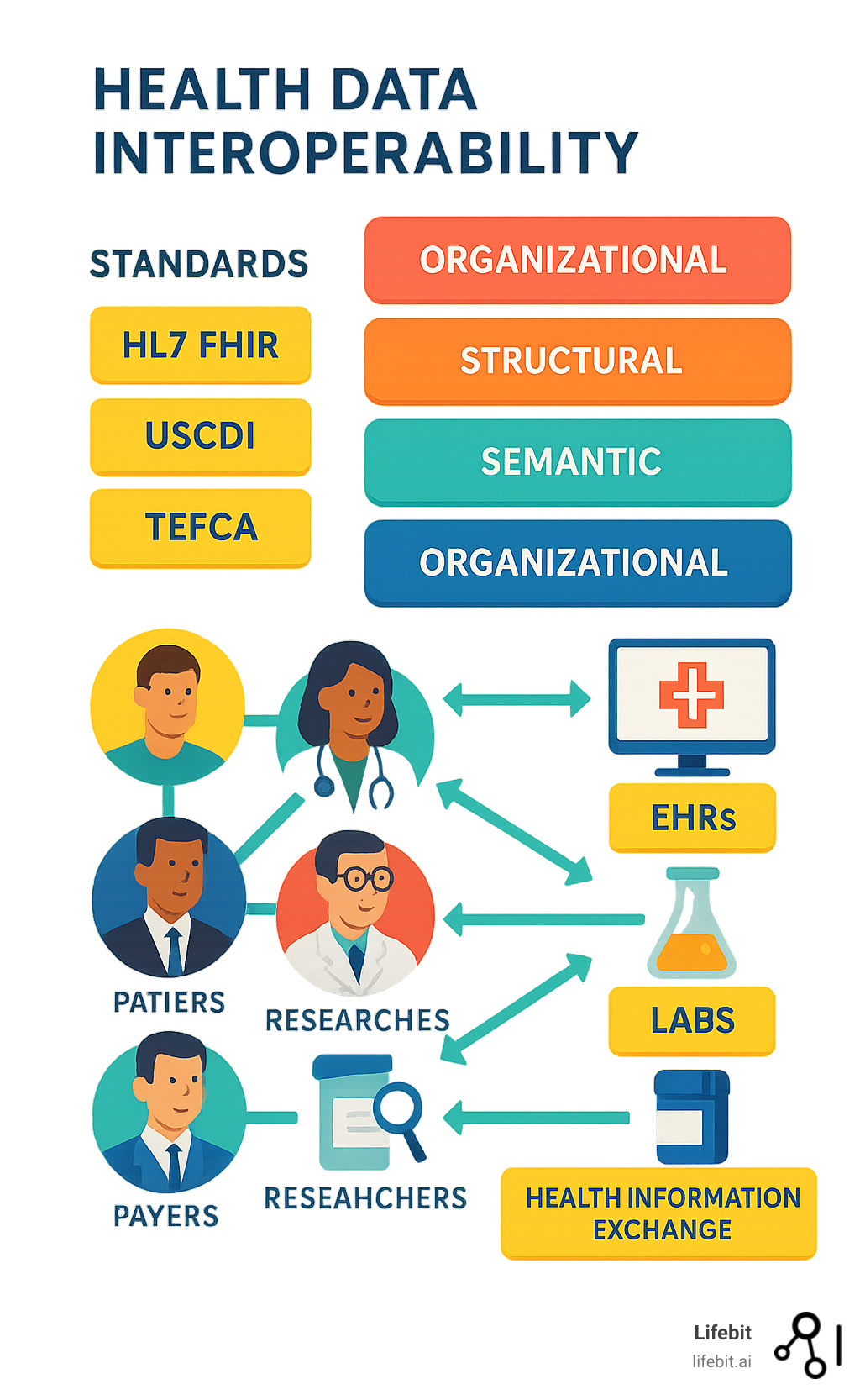 Comprehensive infographic showing the health data interoperability ecosystem with four levels (foundational, structural, semantic, organizational), key standards (HL7 FHIR, USCDI, TEFCA), stakeholders (patients, providers, payers, researchers), and data flow between EHRs, labs, pharmacies, and health information exchanges - health data interoperability infographic