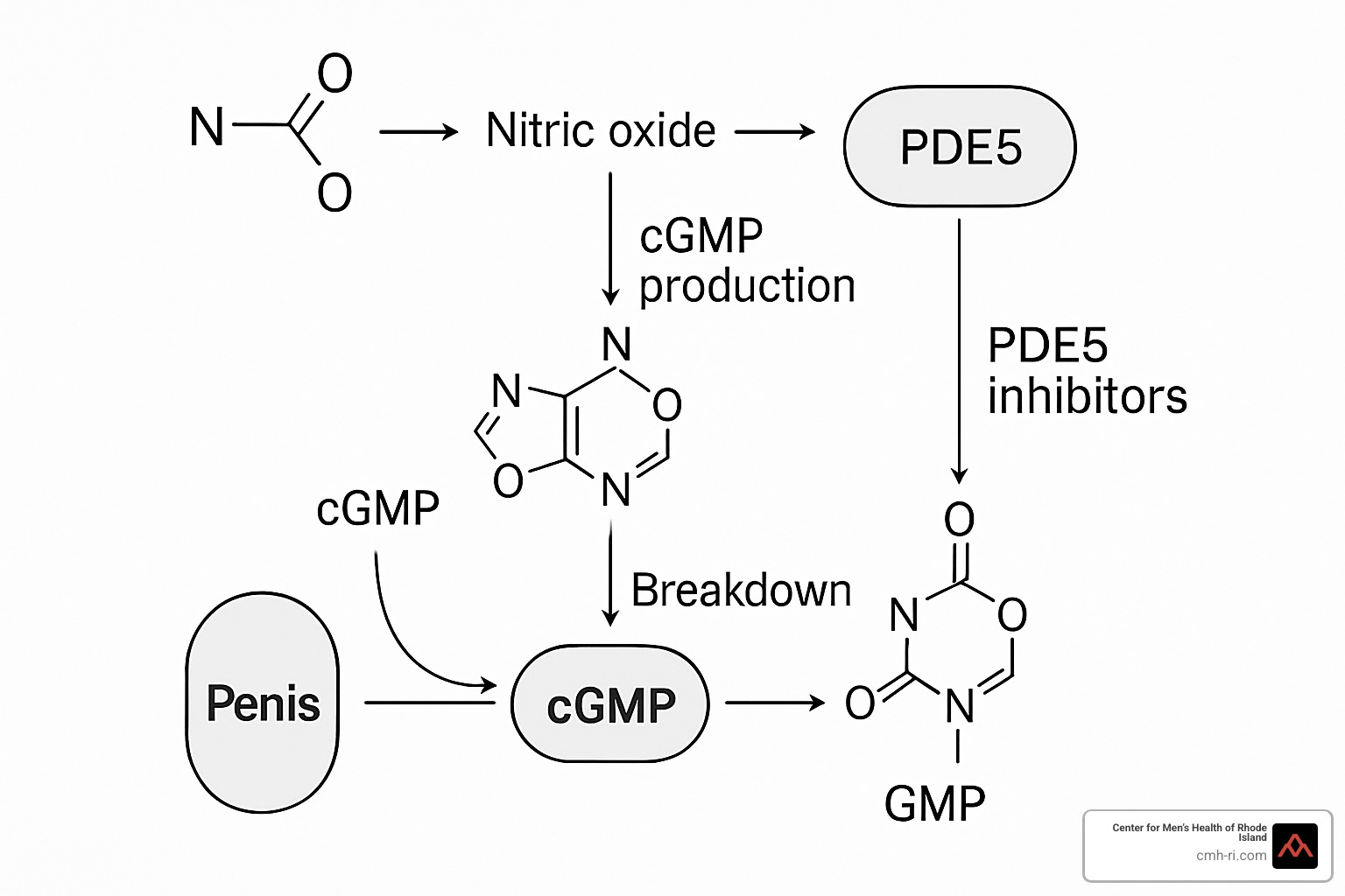 molecular diagram showing PDE5 inhibitor mechanism - erectile dysfunction drugs
