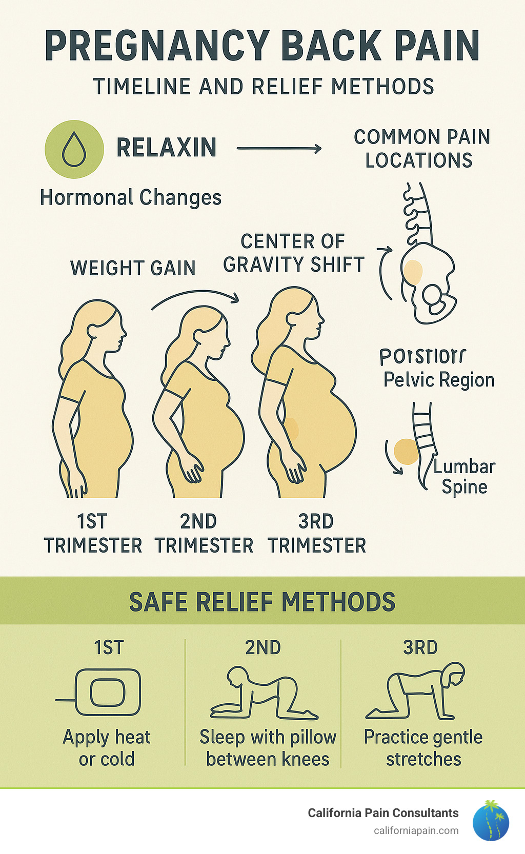 Comprehensive infographic showing pregnancy back pain timeline from first trimester through postpartum, including hormonal changes with relaxin production, weight gain progression, center of gravity shifts, common pain locations in posterior pelvic region and lumbar spine, and safe relief methods by trimester - pregnancy back pain relief infographic Comprehensive infographic showing pregnancy back pain timeline from first trimester through postpartum, including hormonal changes with relaxin production, weight gain progression, center of gravity shifts, common pain locations in posterior pelvic region and lumbar spine, and safe relief methods by trimester - pregnancy back pain relief infographic