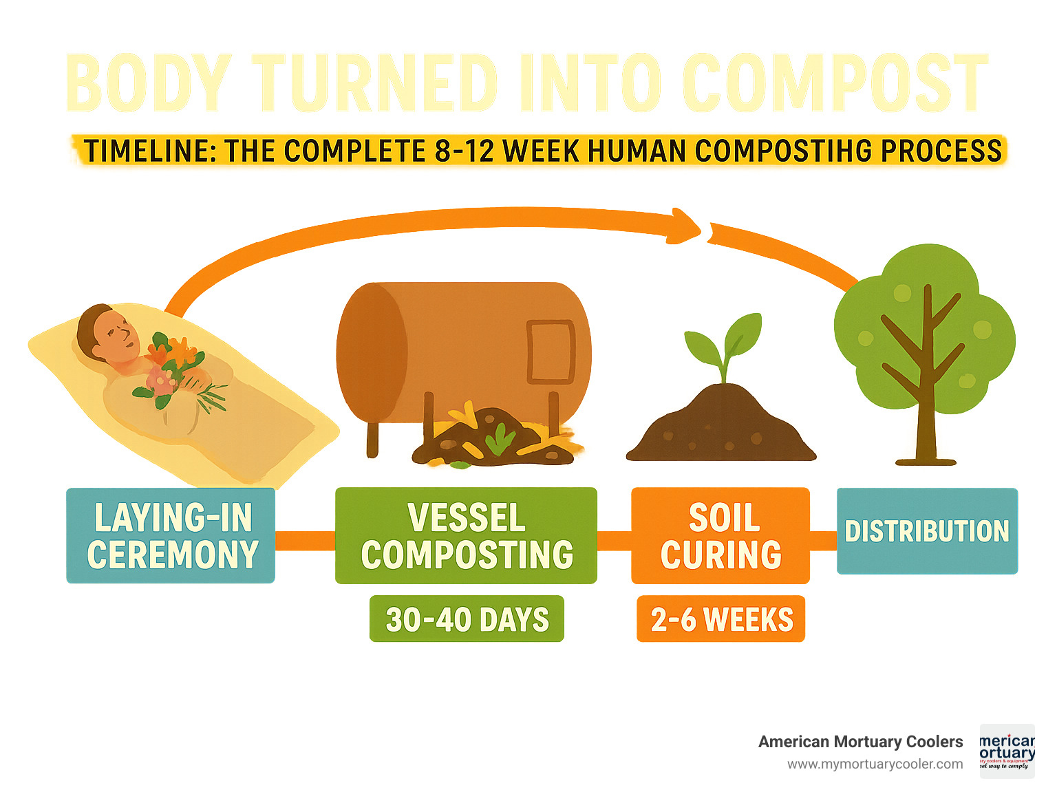 Timeline infographic showing the complete 8-12 week human composting process, from initial laying-in ceremony through vessel composting phases to final soil curing and distribution - body turned into compost infographic 