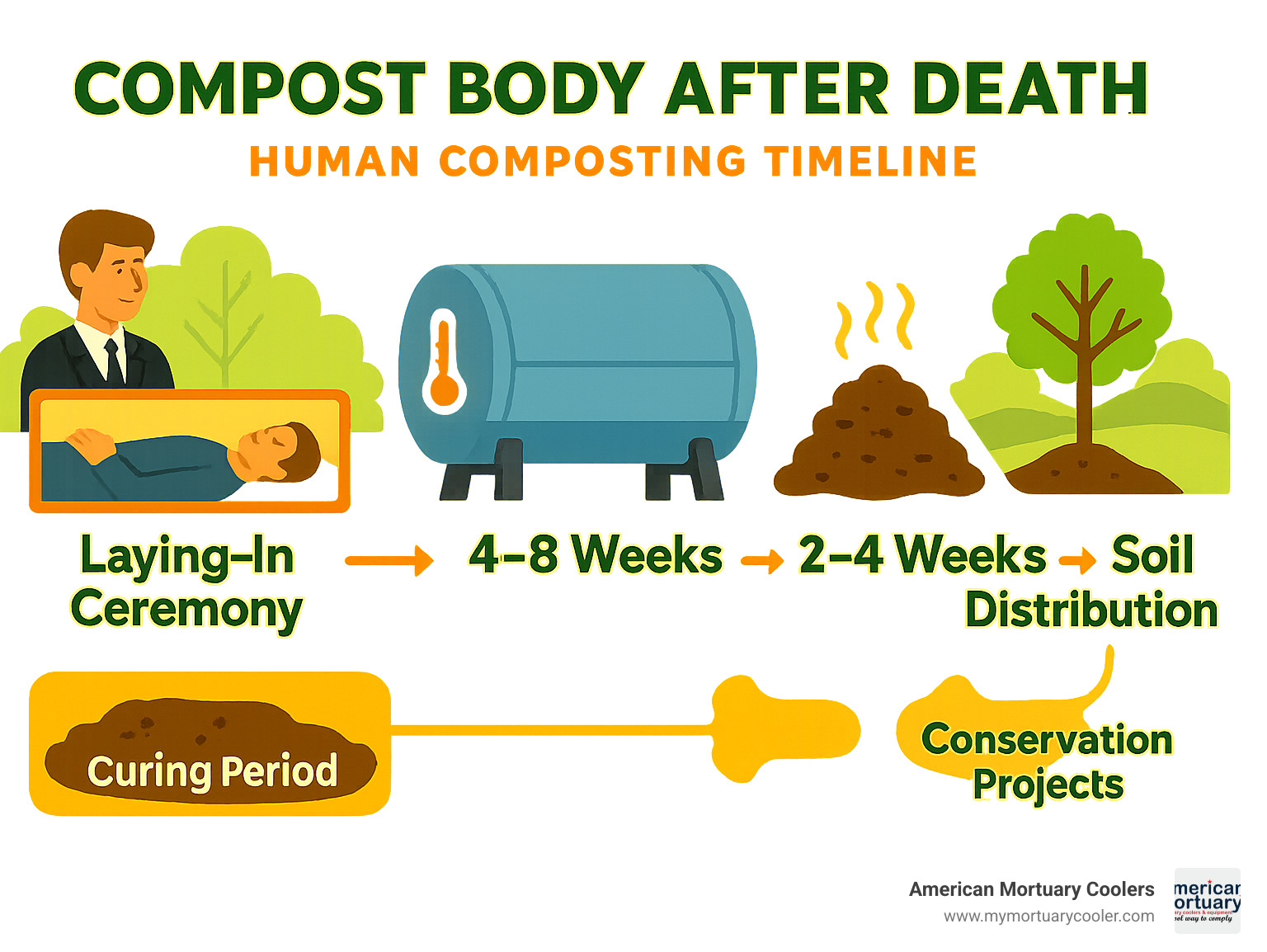 Infographic showing the complete human composting timeline from death to soil, including laying-in ceremony, 4-8 week vessel decomposition at 131-160°F, 2-4 week curing period, and final soil distribution options for memorial gardens or conservation projects - compost body after death infographic 