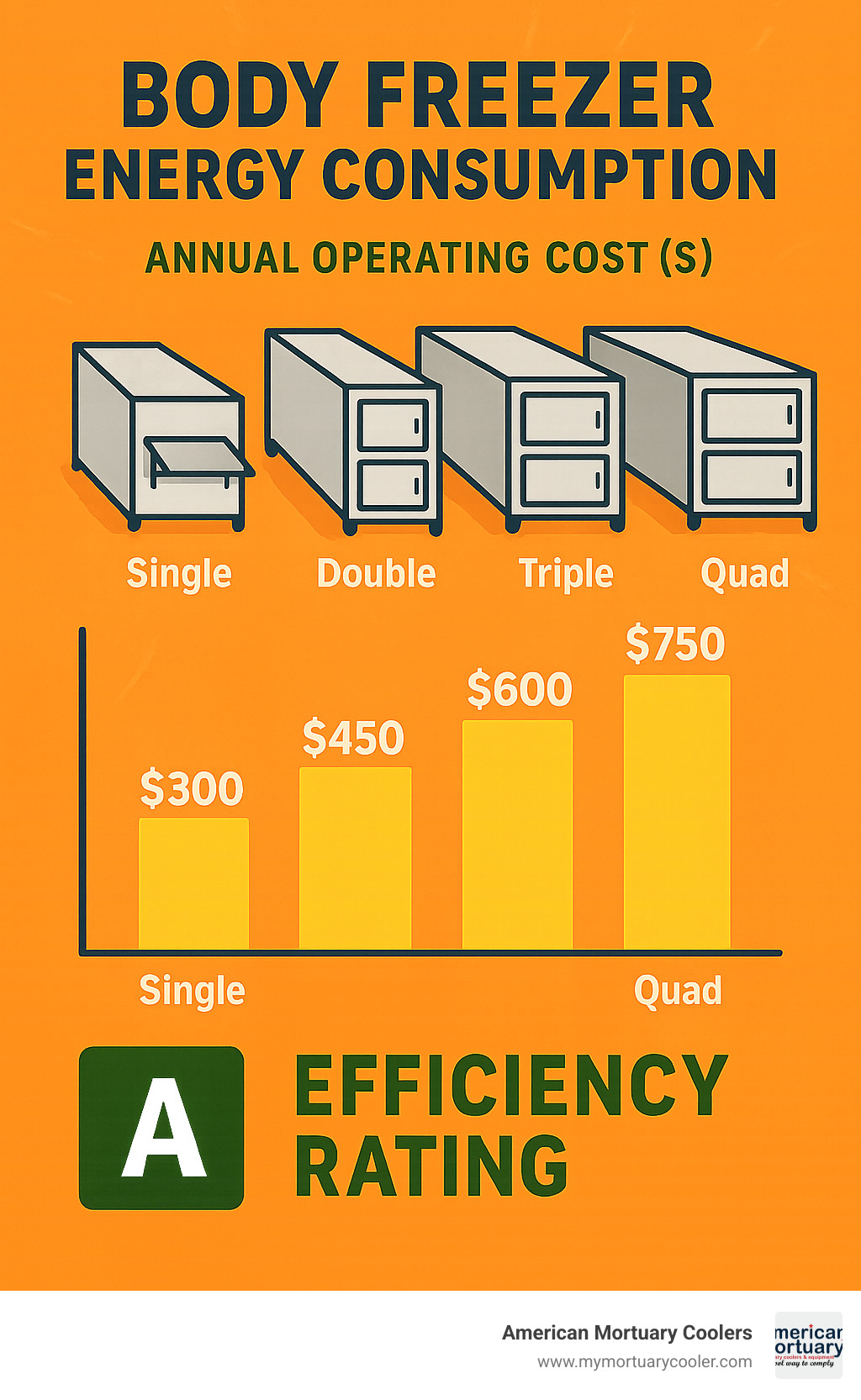 Detailed infographic showing energy consumption comparison between different body freezer models, including annual operating costs and efficiency ratings - body freezer for sale infographic 