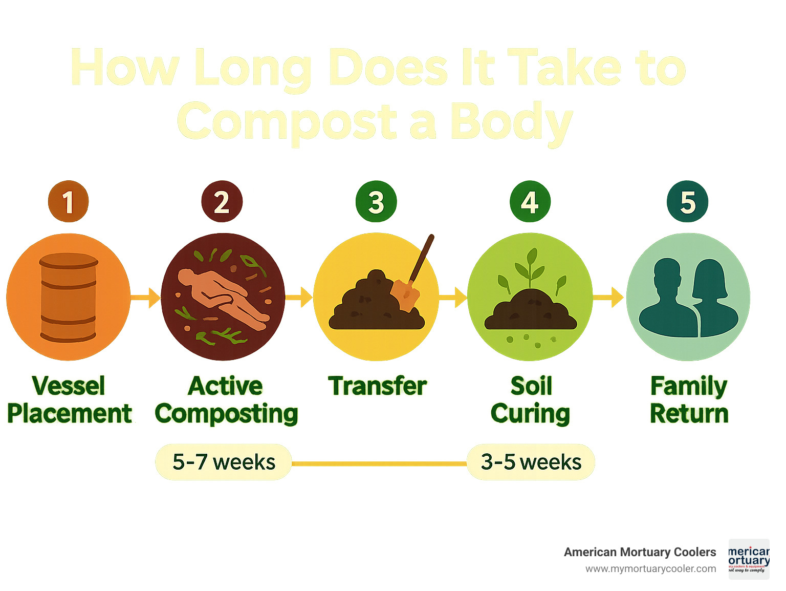 Detailed timeline infographic showing 5 phases of natural organic reduction from initial vessel placement through final soil curing and family return - how long does it take to compost a body infographic 