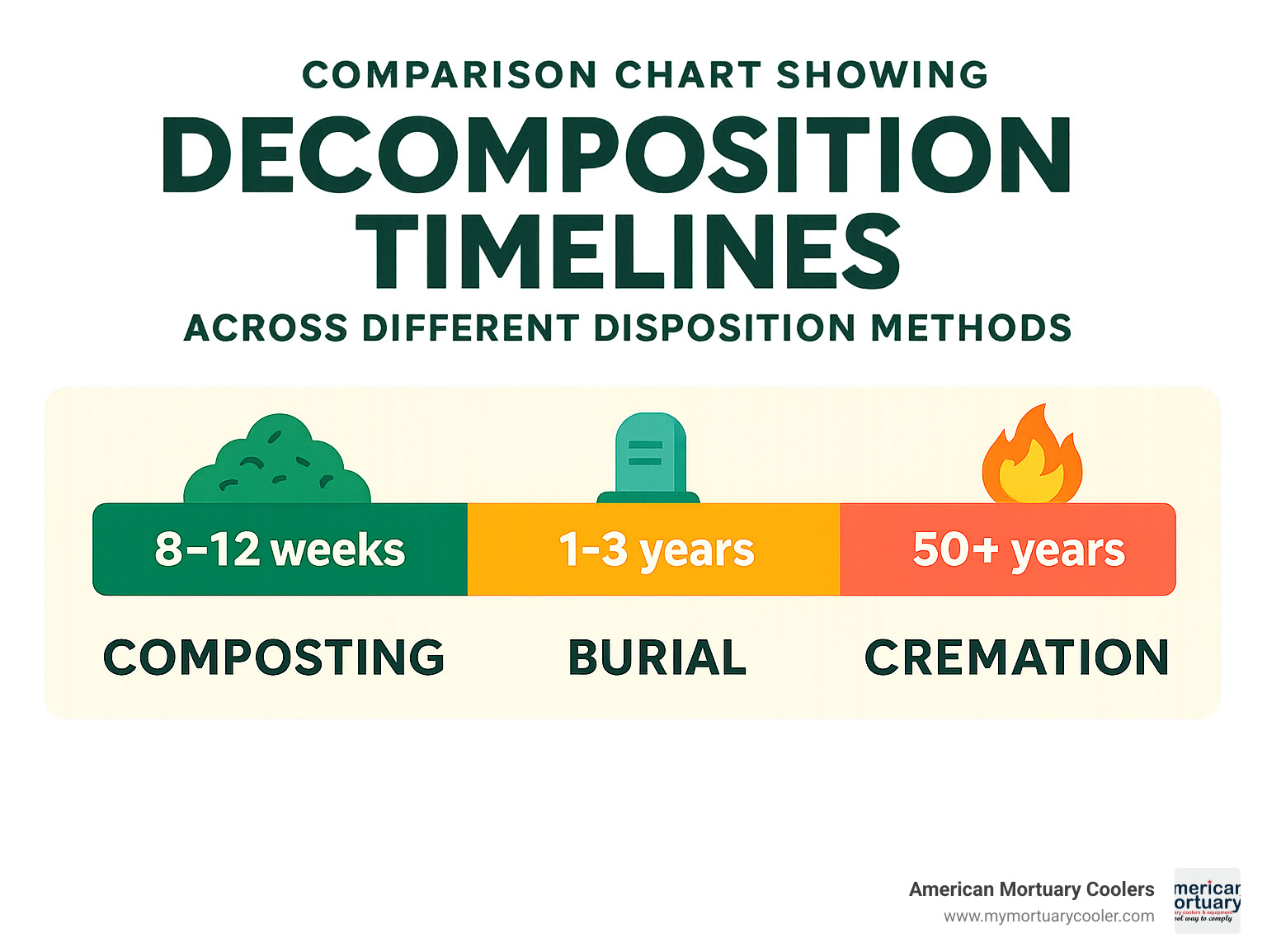 Comparison chart showing decomposition timelines across different disposition methods - how long does it take to compost a body infographic 