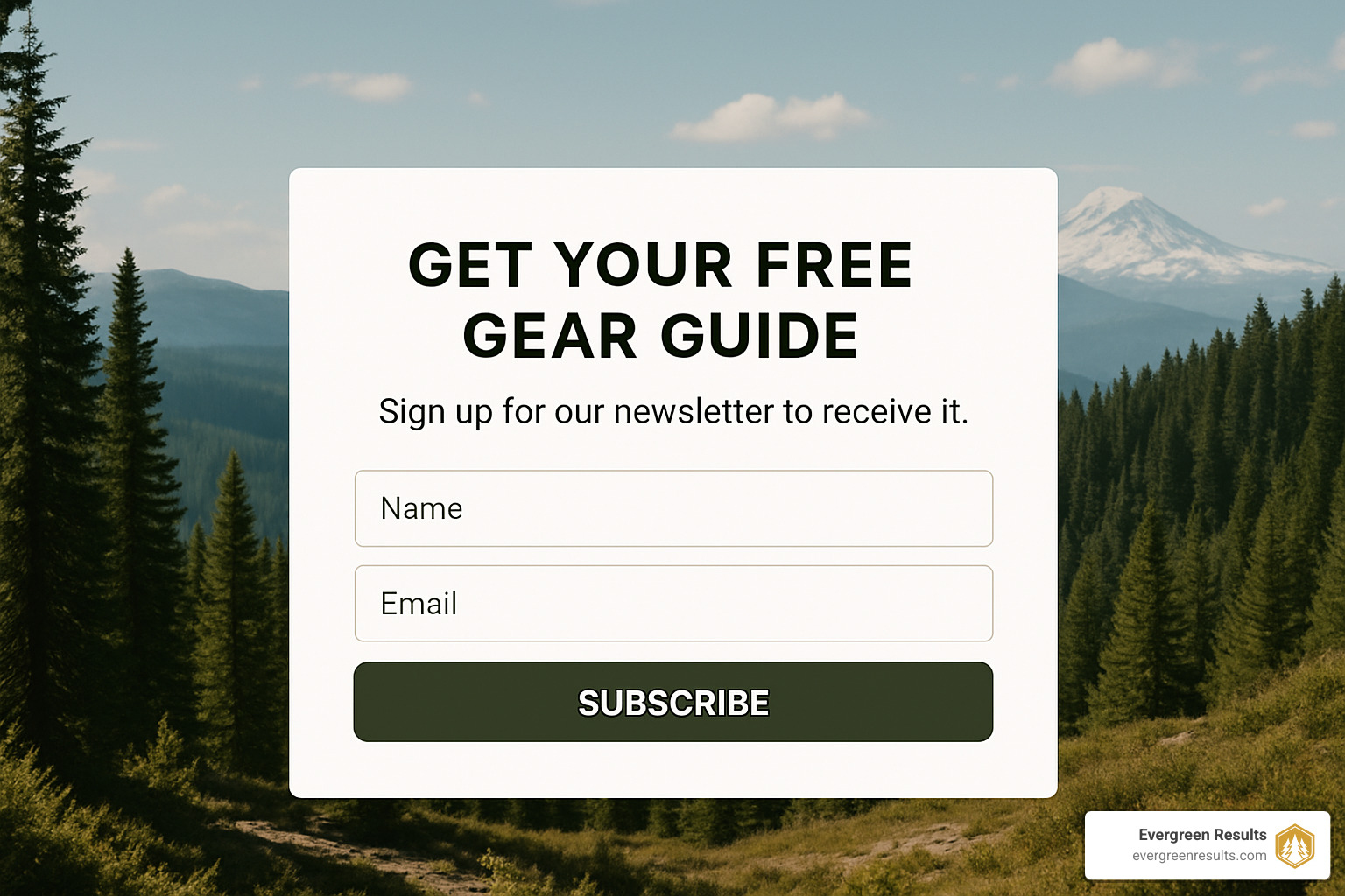 Opt-in form design showing clear value proposition and minimal fields - email marketing strategy