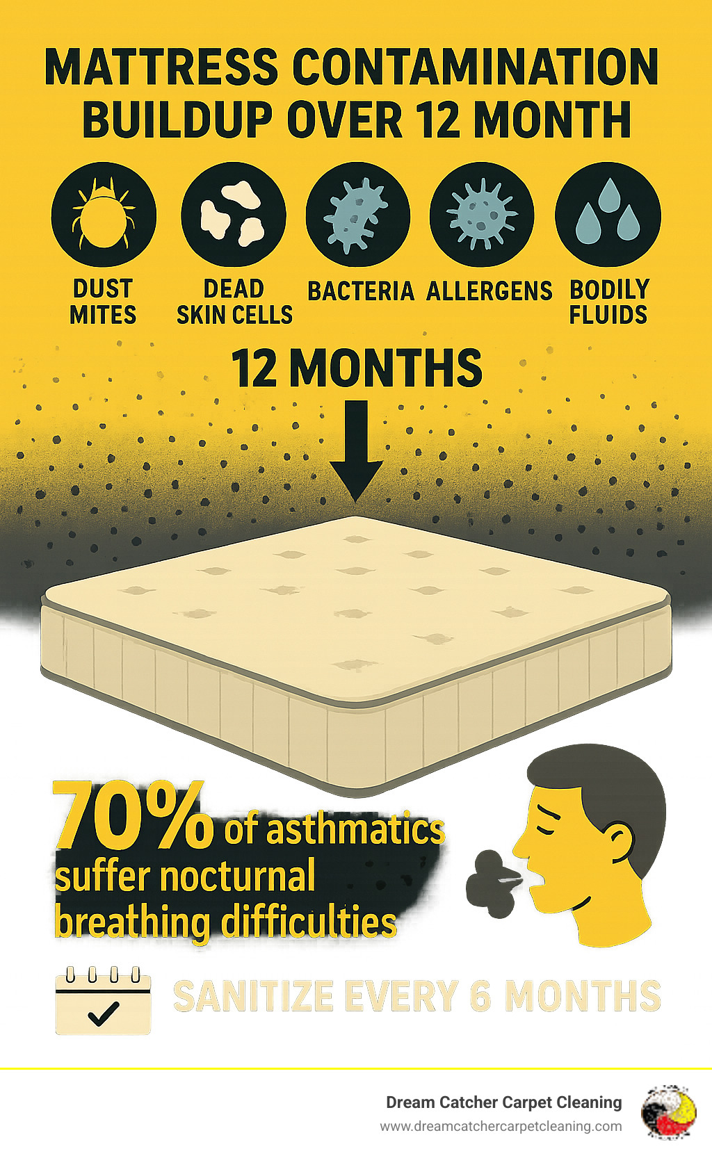 Infographic showing mattress contamination buildup over 12 months including dust mites, dead skin cells, bacteria, allergens, and bodily fluids with statistics on health impacts and recommended sanitizing frequency - mattress sanitizing service infographic 