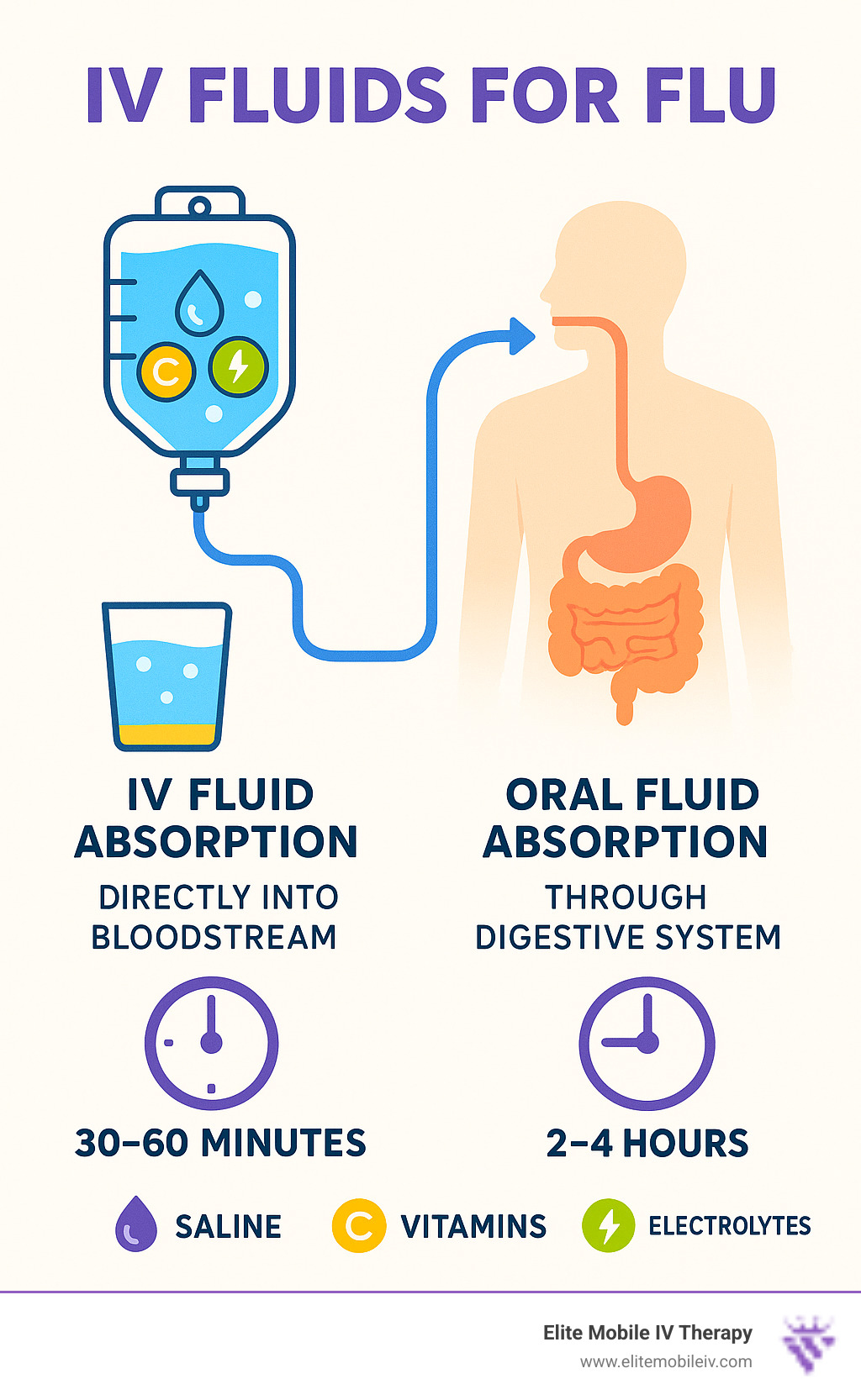Detailed infographic showing IV fluid absorption directly into bloodstream versus oral fluid absorption through digestive system, with timeline showing 30-60 minute IV relief versus 2-4 hour oral hydration, including icons for saline, vitamins, and electrolytes - IV fluids for flu infographic 