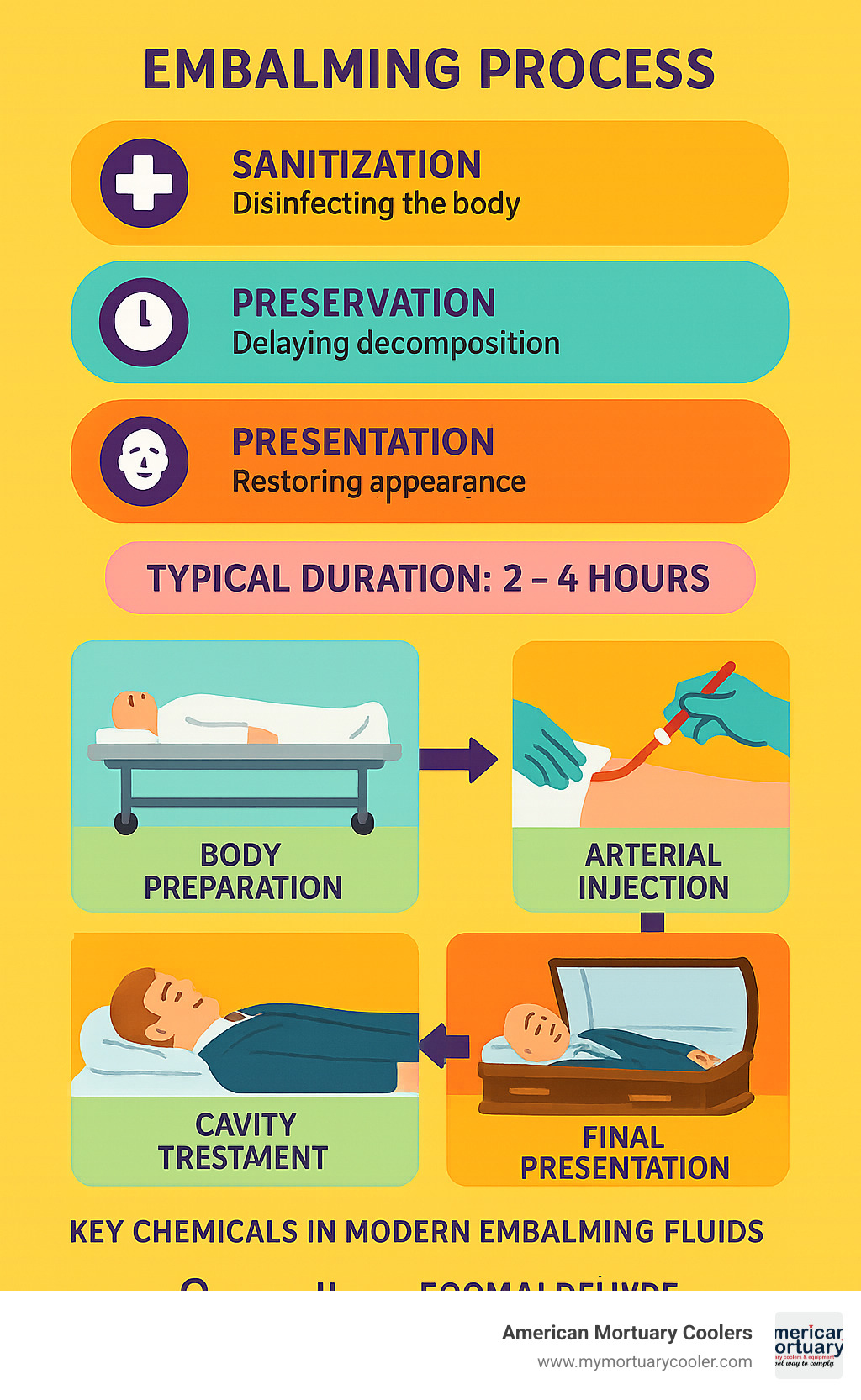 Comprehensive infographic showing the embalming process timeline from initial body preparation through final presentation, including the three main goals of sanitization preservation and presentation, typical duration of 2-4 hours, and key chemical components used in modern embalming fluids - embalming define infographic 