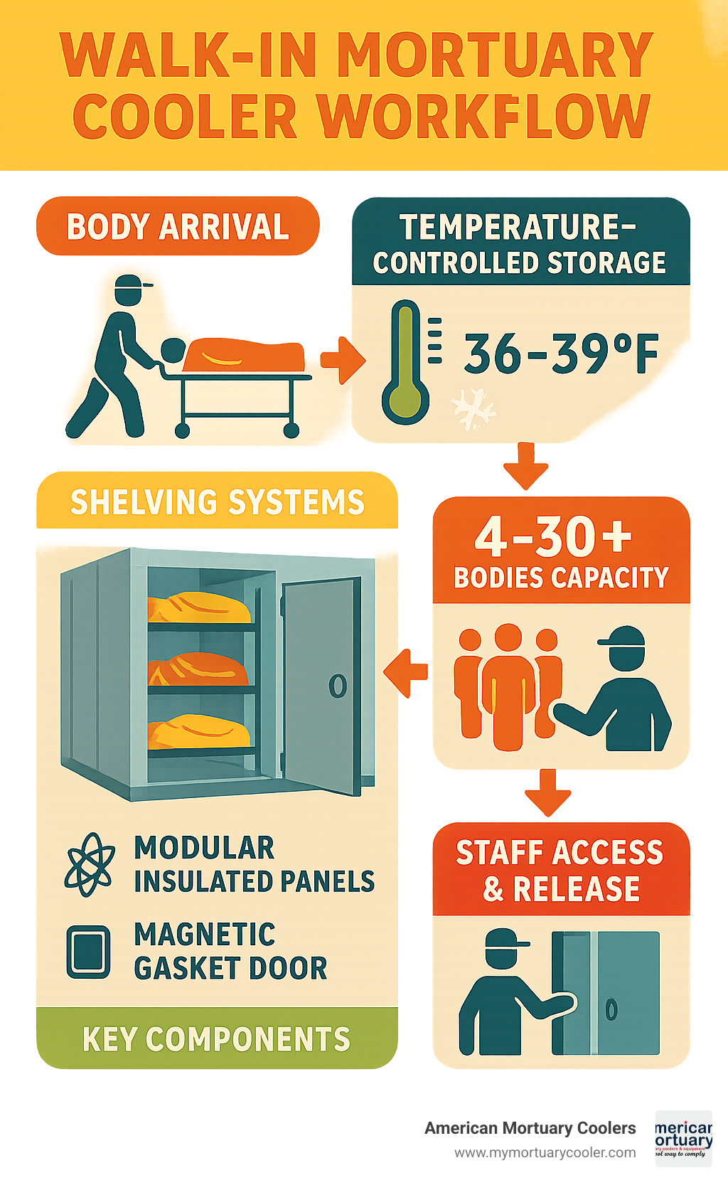 Comprehensive infographic showing walk-in mortuary cooler workflow from body arrival through temperature-controlled storage, shelving systems, staff access, and final release, including temperature ranges, capacity options, and key components - walk in mortuary cooler infographic 