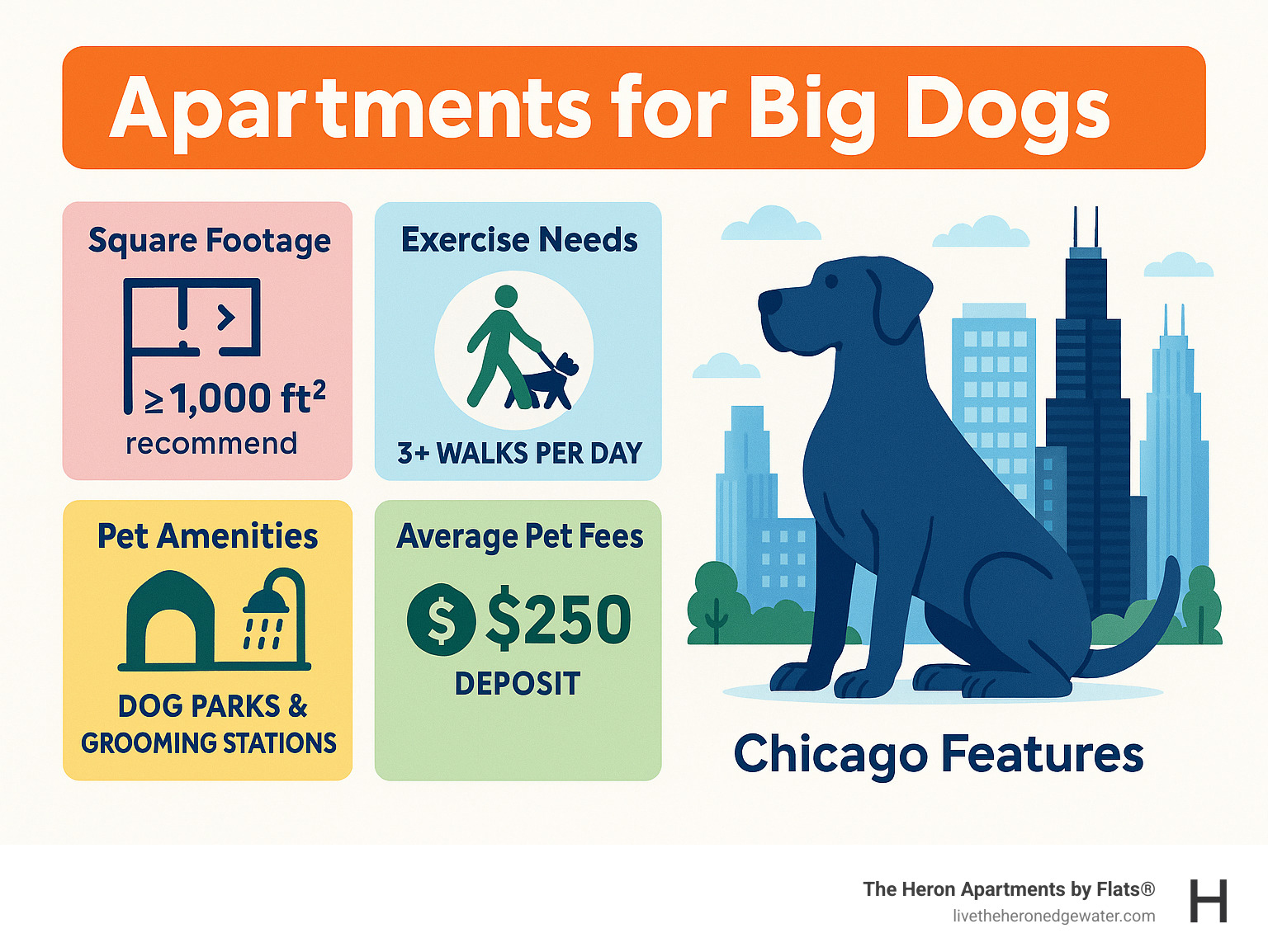 Infographic showing Chicago apartment features for large dogs including square footage requirements, exercise needs, pet amenities like dog parks and grooming stations, and average pet fees and deposits - apartments for big dogs infographic  Infographic showing Chicago apartment features for large dogs including square footage requirements, exercise needs, pet amenities like dog parks and grooming stations, and average pet fees and deposits - apartments for big dogs infographic