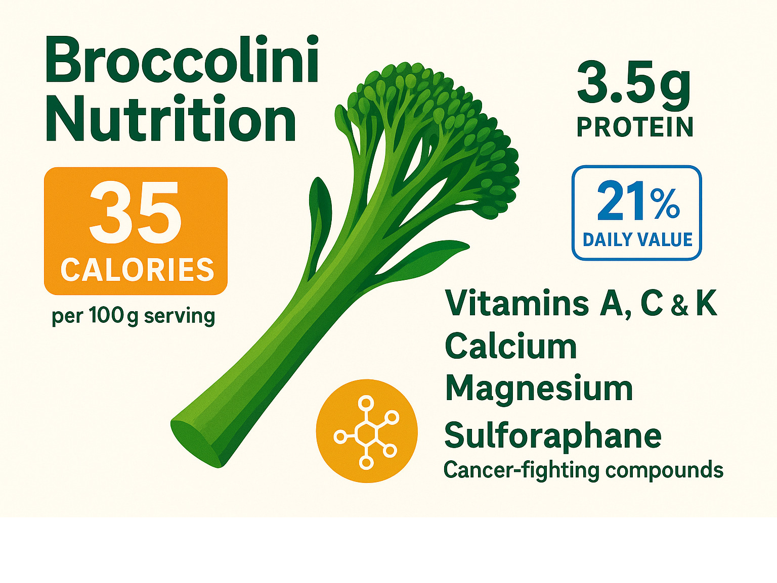 nutritional breakdown showing broccolini contains 35 calories per 100g serving with 3.5g protein, 5g fiber providing 21% daily value, plus vitamins A-C-K, calcium, magnesium, and cancer-fighting sulforaphane compounds - broccolini infographic 