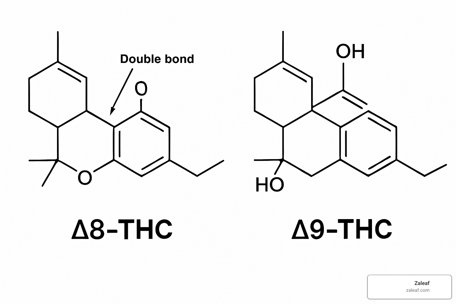 delta-8 vs delta-9 molecular structure comparison - how much delta-8 thc can a cbd product contain