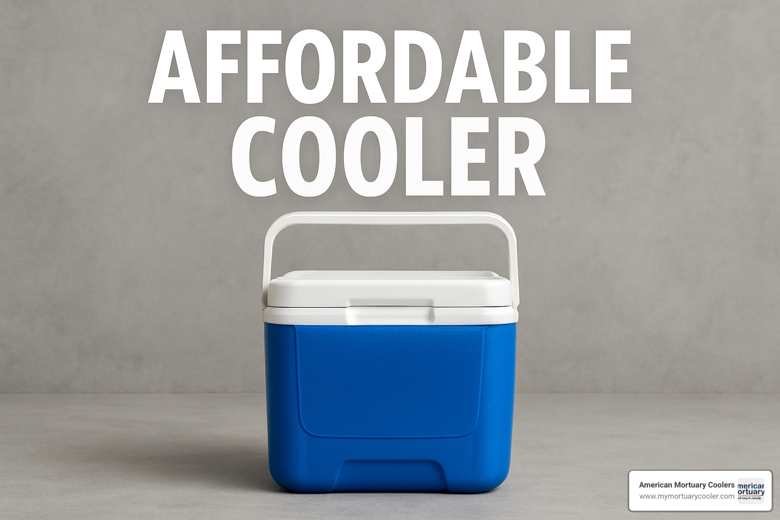 lineup of affordable coolers - affordable-cooler