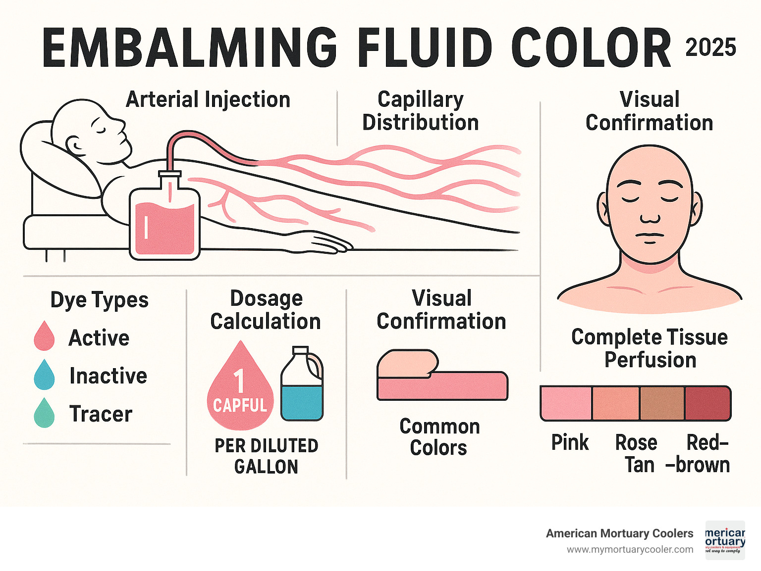 Comprehensive guide showing embalming fluid color selection process from arterial injection through capillary distribution, including dye types, dosage calculations, and visual confirmation methods for complete tissue perfusion - embalming fluid color infographic 