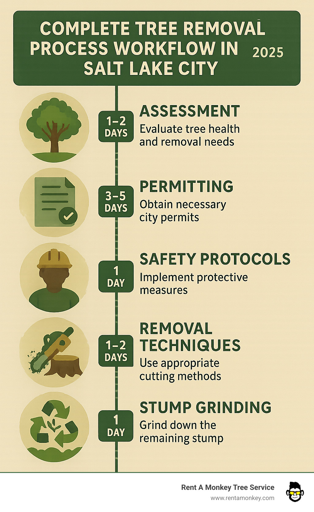 Complete tree removal process workflow in Salt Lake City including assessment, permitting, safety protocols, removal techniques, stump grinding, and debris recycling with timeline estimates - tree removal slc infographic 