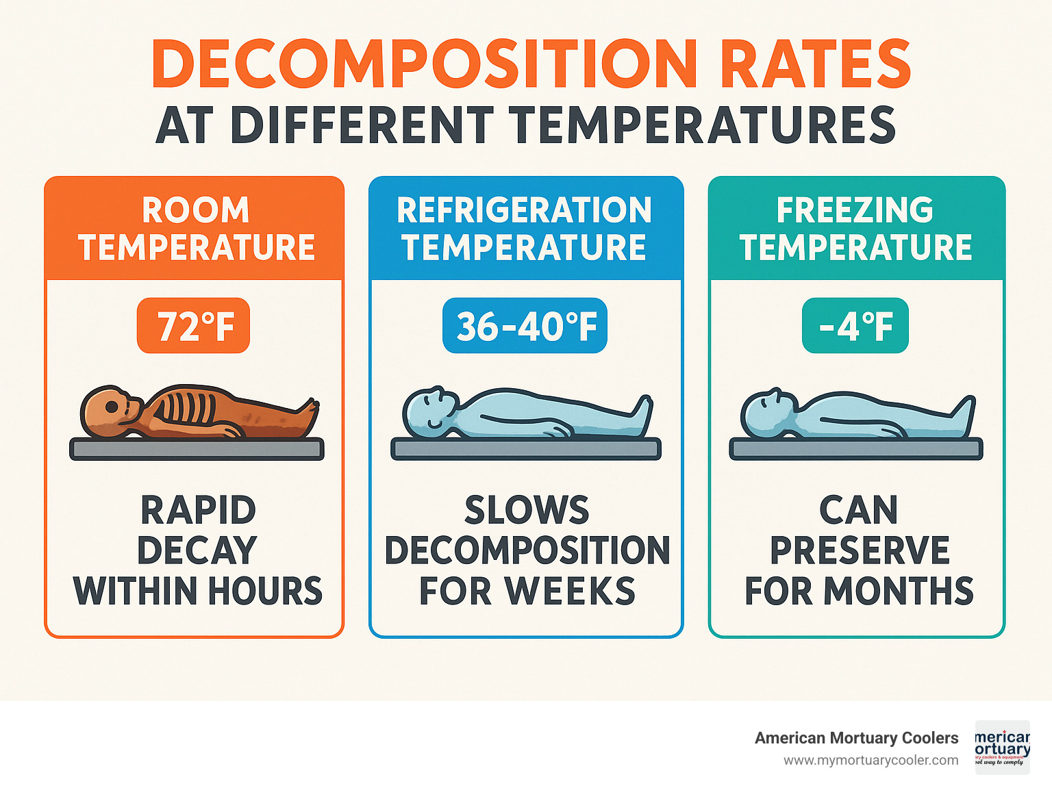 Infographic showing decomposition rates at different temperatures: room temperature (72°F) shows rapid decay within hours, refrigeration temperature (36-40°F) slows decomposition for weeks, and freezing temperature (-4°F) can preserve for months - body-fridge- infographic 