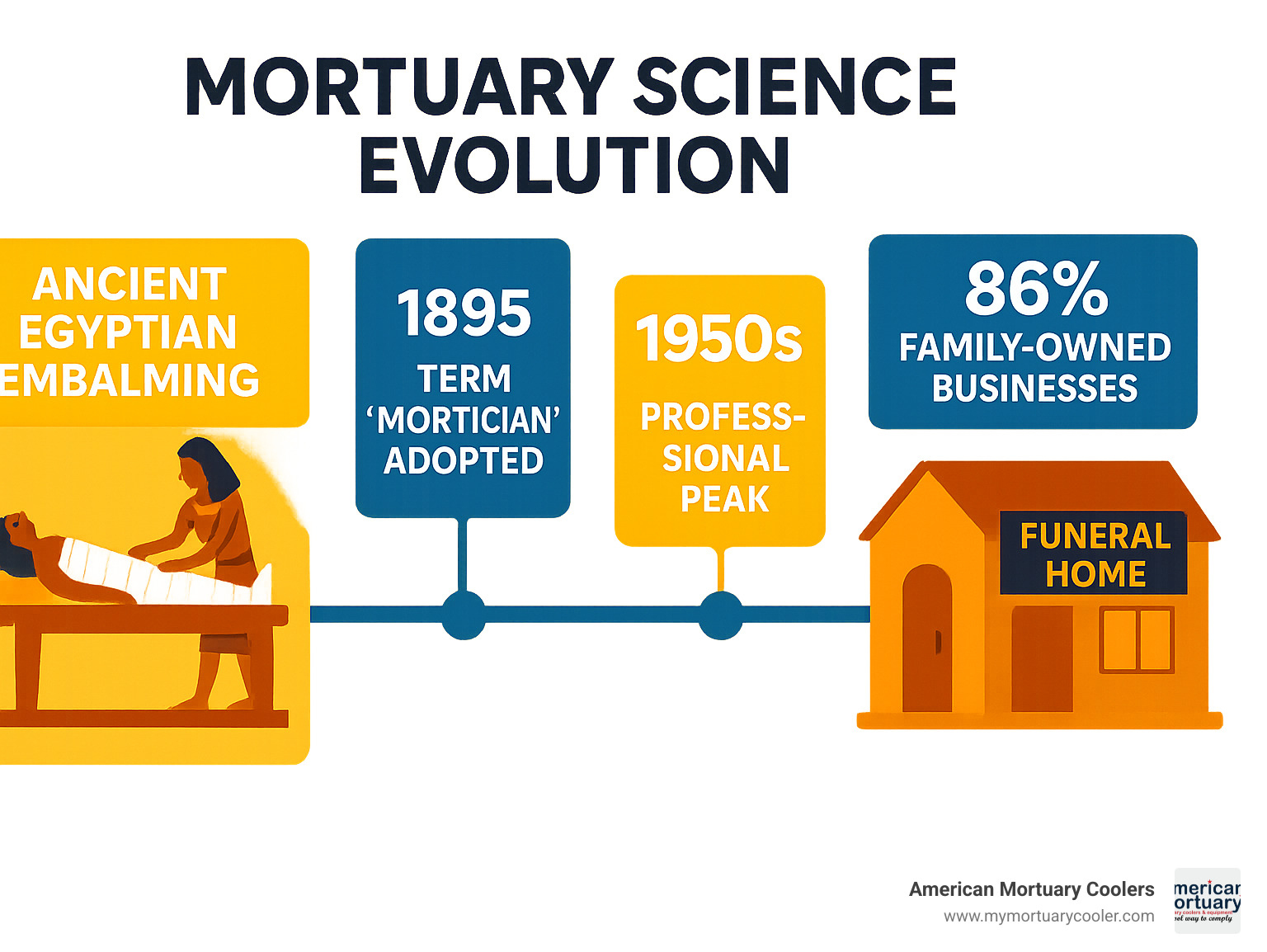 Timeline infographic showing mortuary science evolution from ancient Egyptian embalming through modern professional development, highlighting key milestones like the 1895 adoption of the mortician term, 1950s professional peak, and current family-owned business model statistics - mortuary-science- infographic 