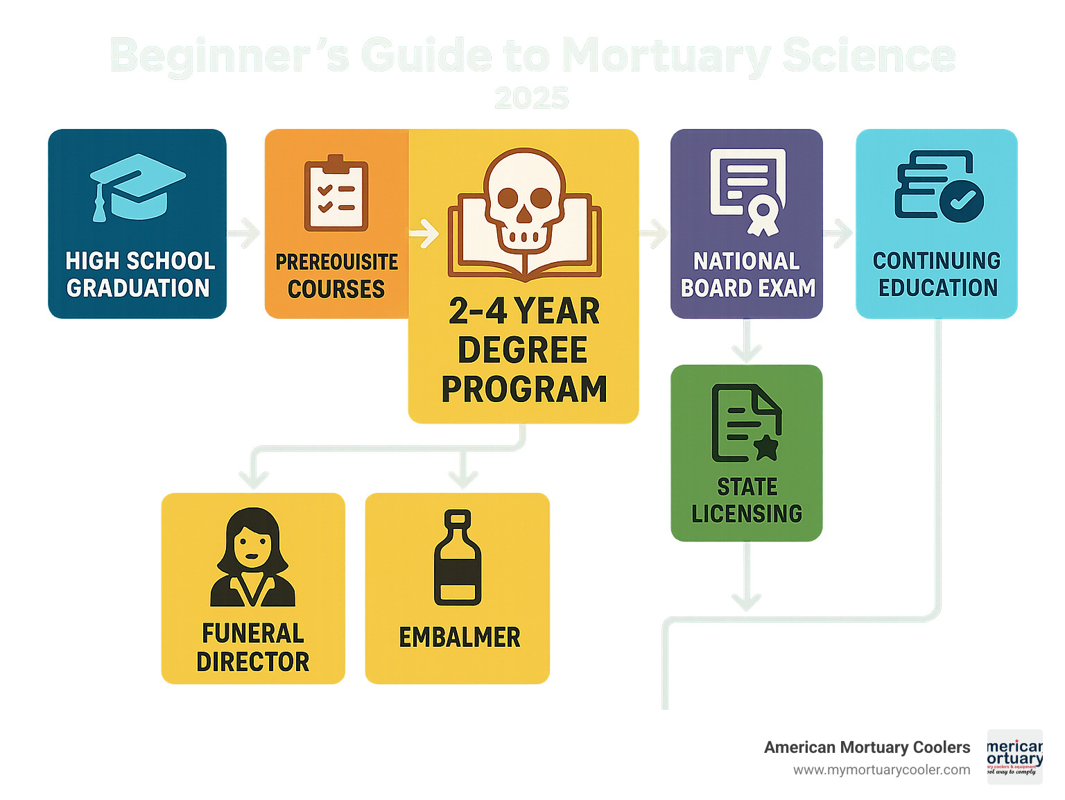 Detailed infographic showing the complete pathway from high school graduation through mortuary science education, including prerequisite courses, 2-4 year degree programs, National Board Exam, 1-3 year apprenticeship, state licensing, and continuing education requirements, with branching career paths to funeral director, embalmer, or funeral home owner - mortuary-science infographic 