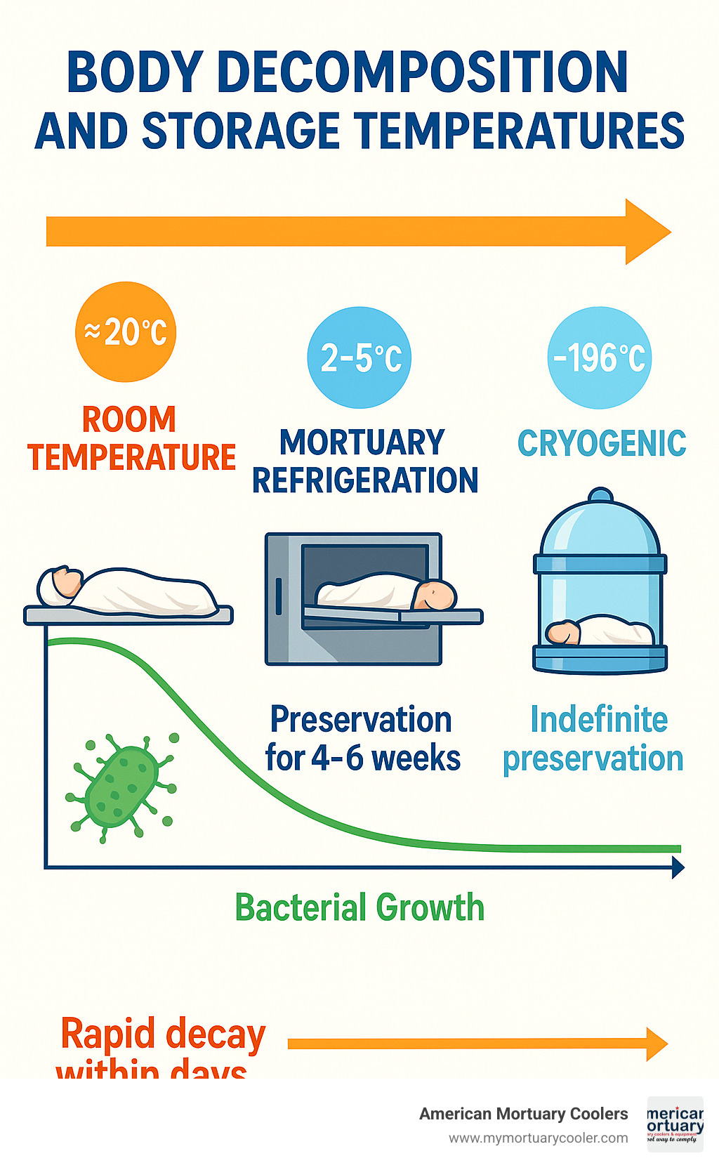 Comprehensive infographic showing body decomposition rates at different storage temperatures, from room temperature (rapid decay within days) to standard mortuary refrigeration at 2-5°C (preservation for 4-6 weeks) to cryogenic temperatures at -196°C (indefinite preservation), with visual timeline and bacterial growth curves - body cold storage infographic  Comprehensive infographic showing body decomposition rates at different storage temperatures, from room temperature (rapid decay within days) to standard mortuary refrigeration at 2-5°C (preservation for 4-6 weeks) to cryogenic temperatures at -196°C (indefinite preservation), with visual timeline and bacterial growth curves - body cold storage infographic