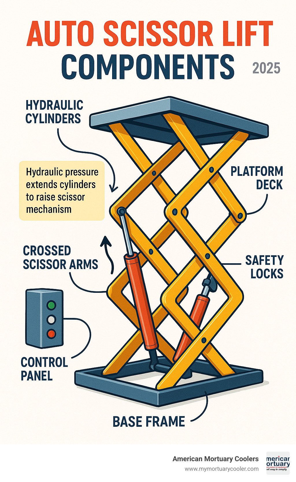 Detailed infographic showing auto scissor lift components including hydraulic cylinders, crossed scissor arms, platform deck, safety locks, control panel, and base frame with annotations explaining how hydraulic pressure extends cylinders to raise the scissor mechanism - auto scissor lift infographic 