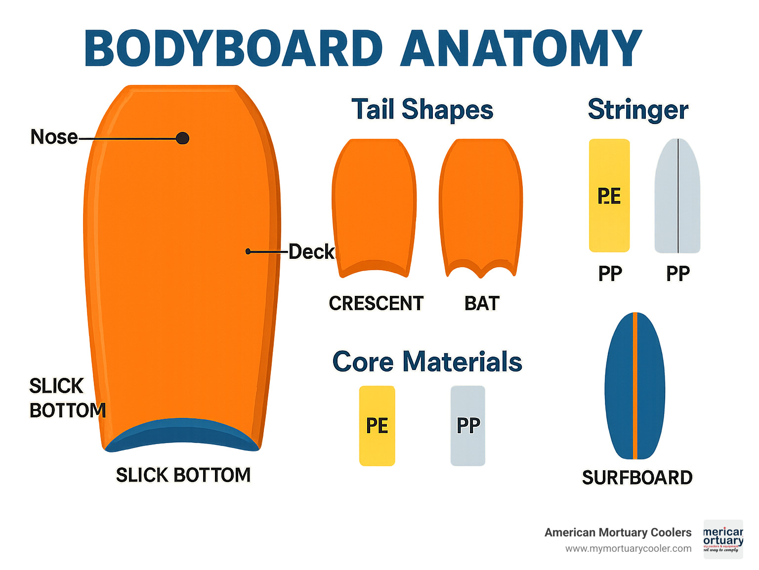 Detailed infographic showing bodyboard anatomy with labeled parts including nose, rails, deck, slick bottom, tail shapes (crescent vs bat), core materials (PE vs PP), and stringer placement compared to surfboard design - body-board- infographic 