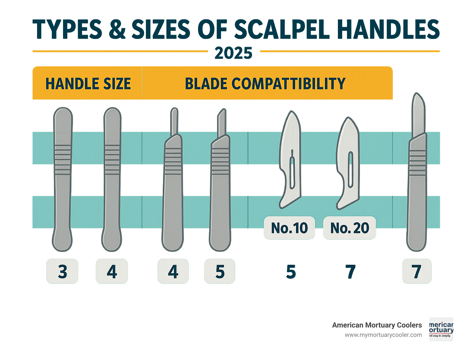 Comparison chart showing different scalpel handle sizes and their corresponding blade compatibility - scalpel handles infographic 