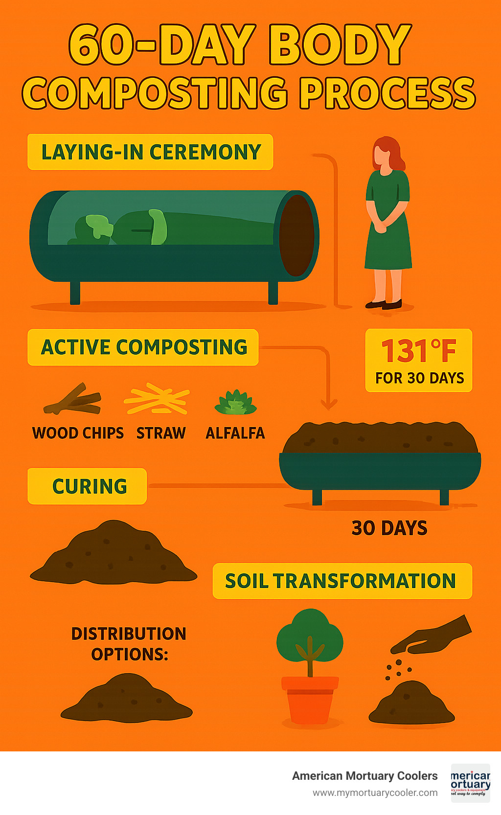 Detailed infographic showing the 60-day body composting process from laying-in ceremony through soil change, including temperature requirements, materials used, and final soil distribution options - body composting seattle infographic 