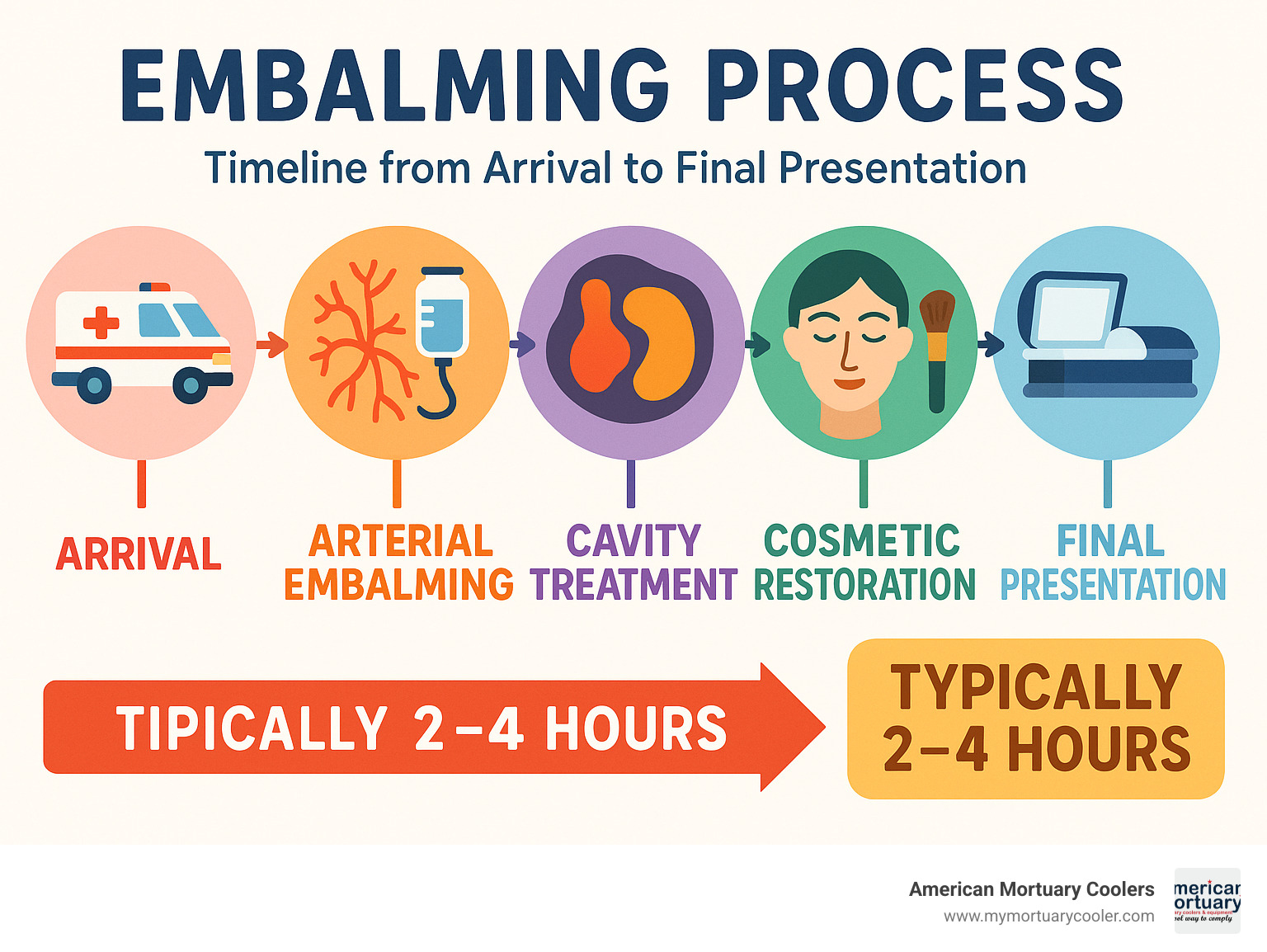 Comprehensive infographic showing embalming process timeline from arrival to final presentation, including arterial embalming steps, cavity treatment, cosmetic restoration, and typical 2-4 hour completion timeframe - embalming services infographic 