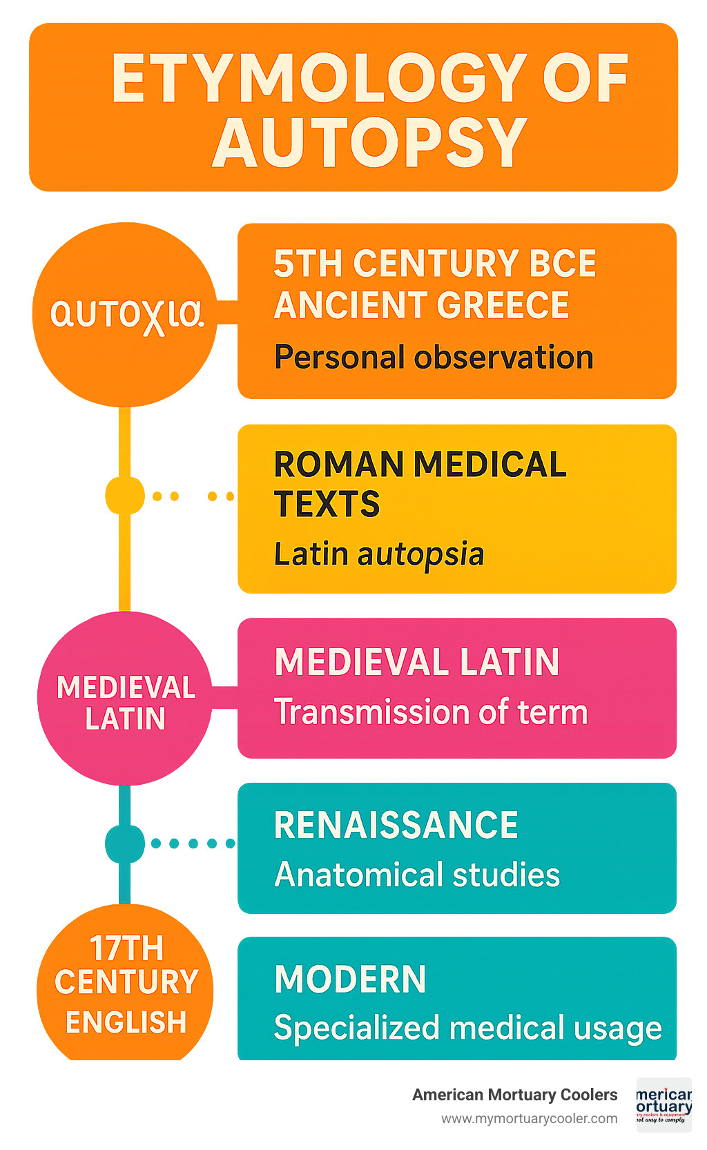 Detailed timeline infographic showing the evolution of autopsy terminology from 5th century BCE Greek autopsia meaning "personal observation" through Roman medical texts, medieval Latin transmission, Renaissance anatomical studies, 17th century English adoption, and modern specialized medical usage, with key dates and semantic shifts clearly marked - etymology of autopsy infographic 