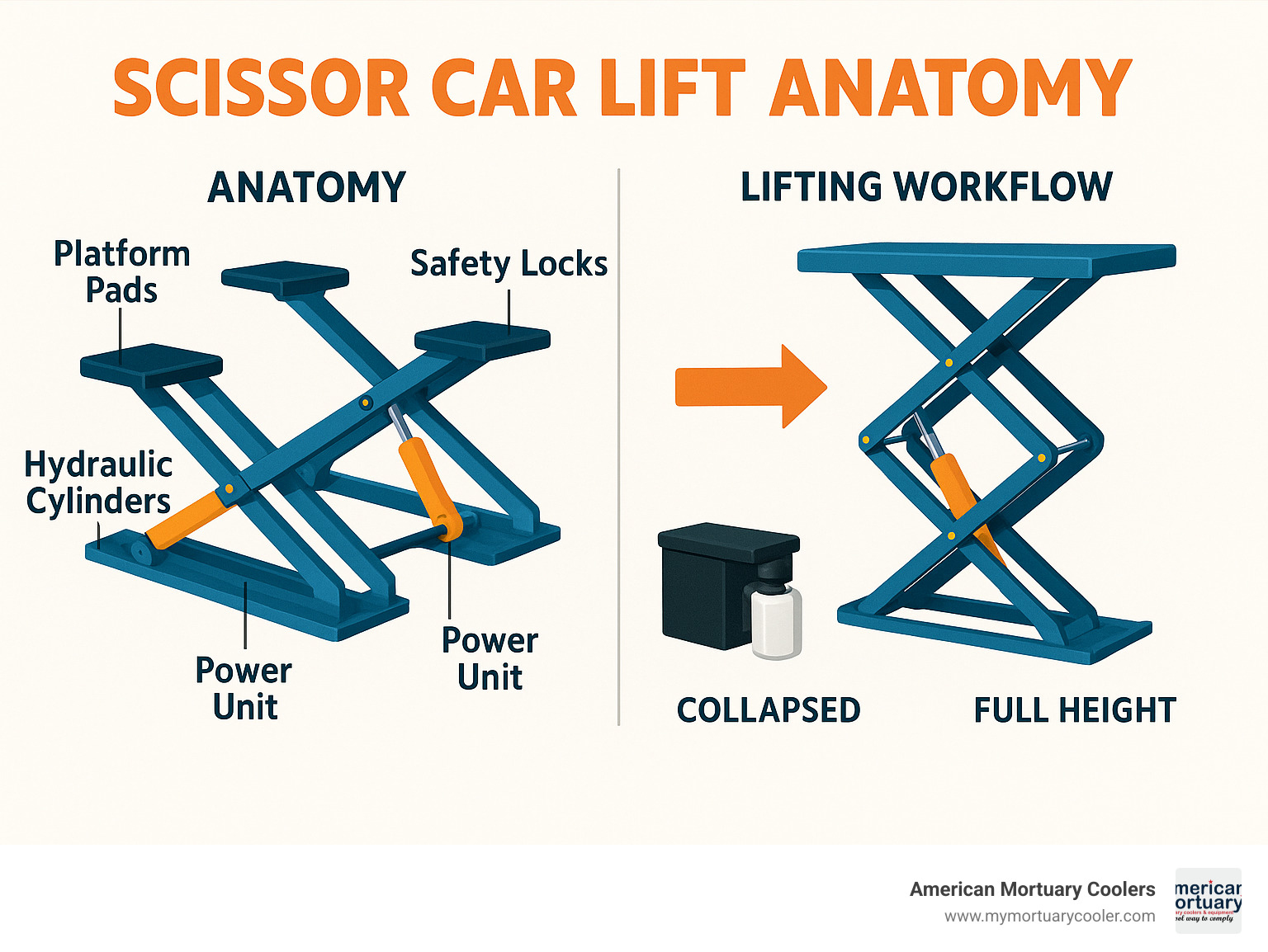 Detailed infographic showing scissor car lift anatomy including hydraulic cylinders, scissor arms, safety locks, platform pads, power unit, and lifting workflow from collapsed to full height position - scissor car lift infographic 