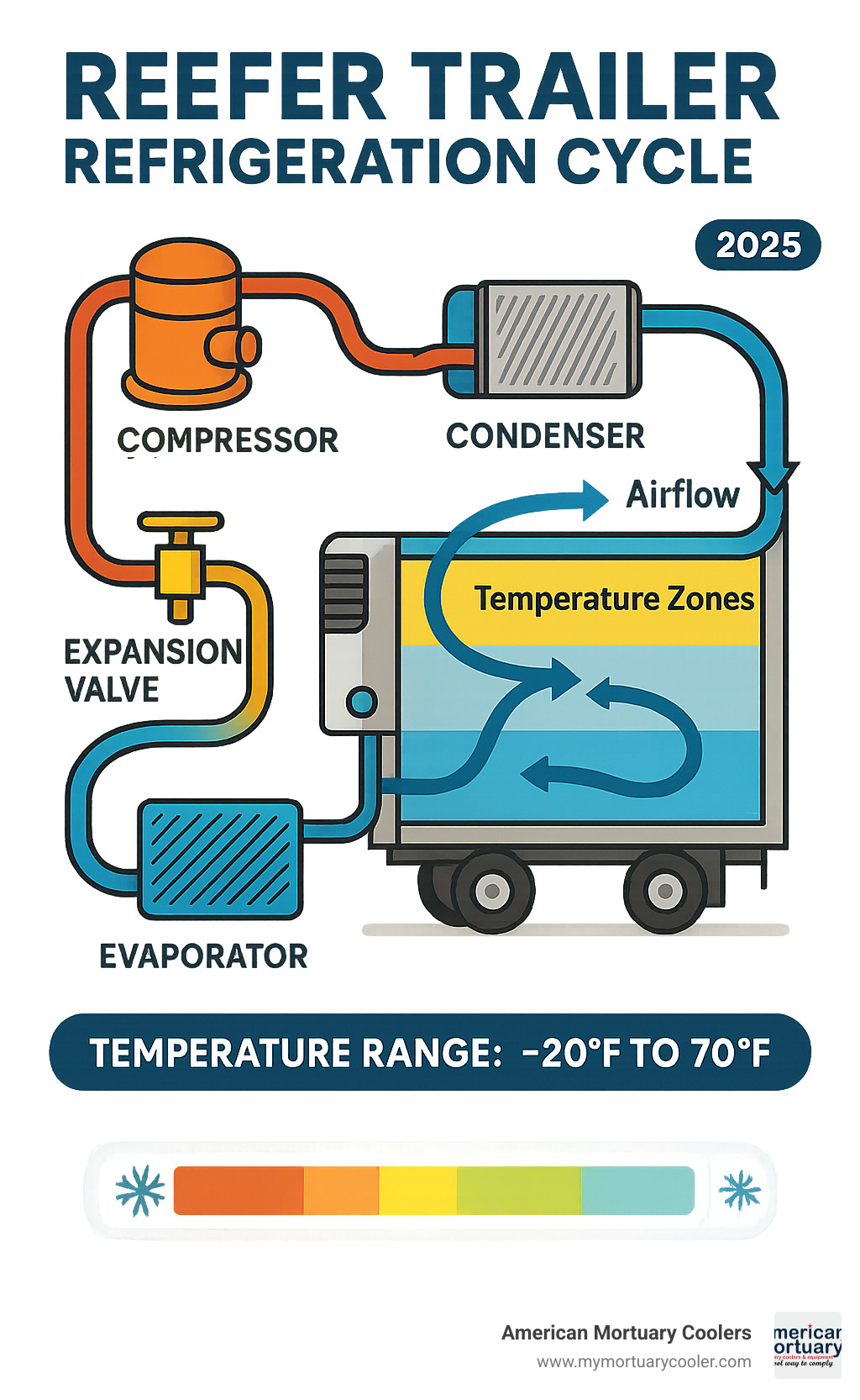 Detailed infographic showing reefer trailer refrigeration cycle with compressor, condenser, evaporator, and expansion valve components, plus temperature zones and airflow patterns - reefer trailer infographic 