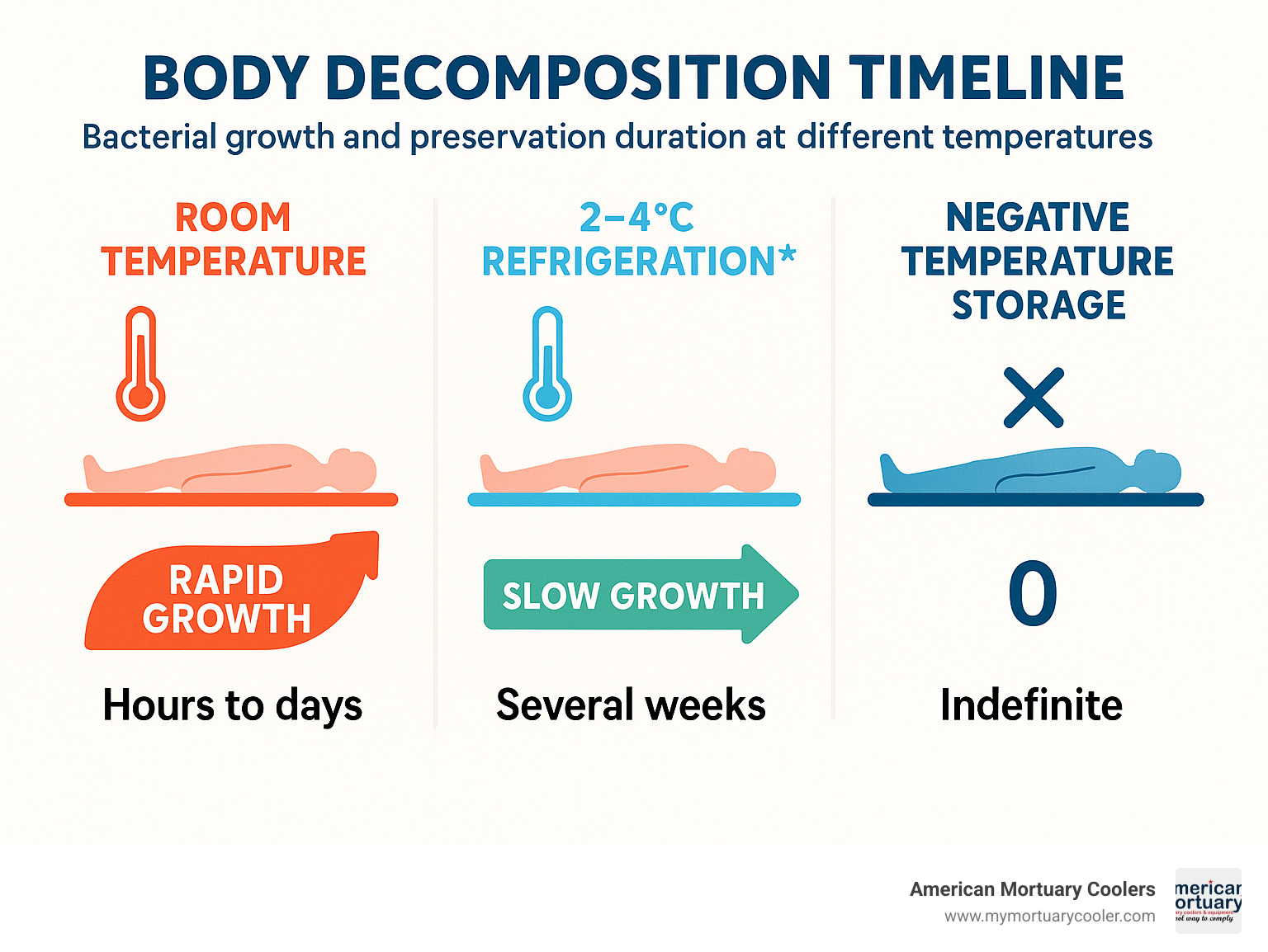 Infographic showing body decomposition timeline at different temperatures: room temperature vs 2-4°C refrigeration vs negative temperature storage, with bacterial growth rates and preservation duration for each temperature range - morgue-fridge- infographic 