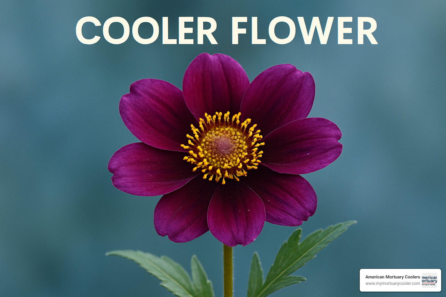 detailed view of wire shelving organization system with labeled flower buckets - cooler flower