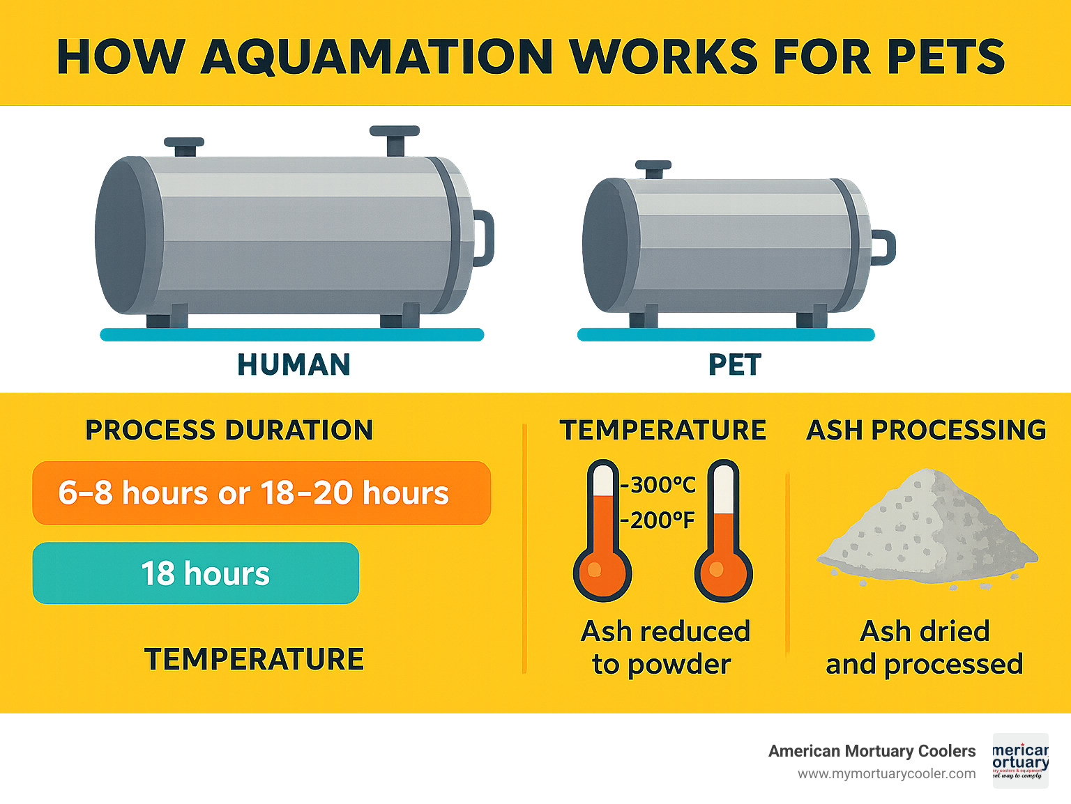 Detailed infographic comparing human and pet aquamation workflows, showing vessel sizes, processing times, temperature differences, and final ash preparation steps - aquamation infographic 