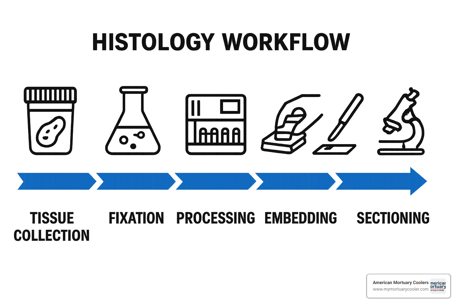 workflow timeline showing progression from tissue collection through final diagnosis - histology supplies