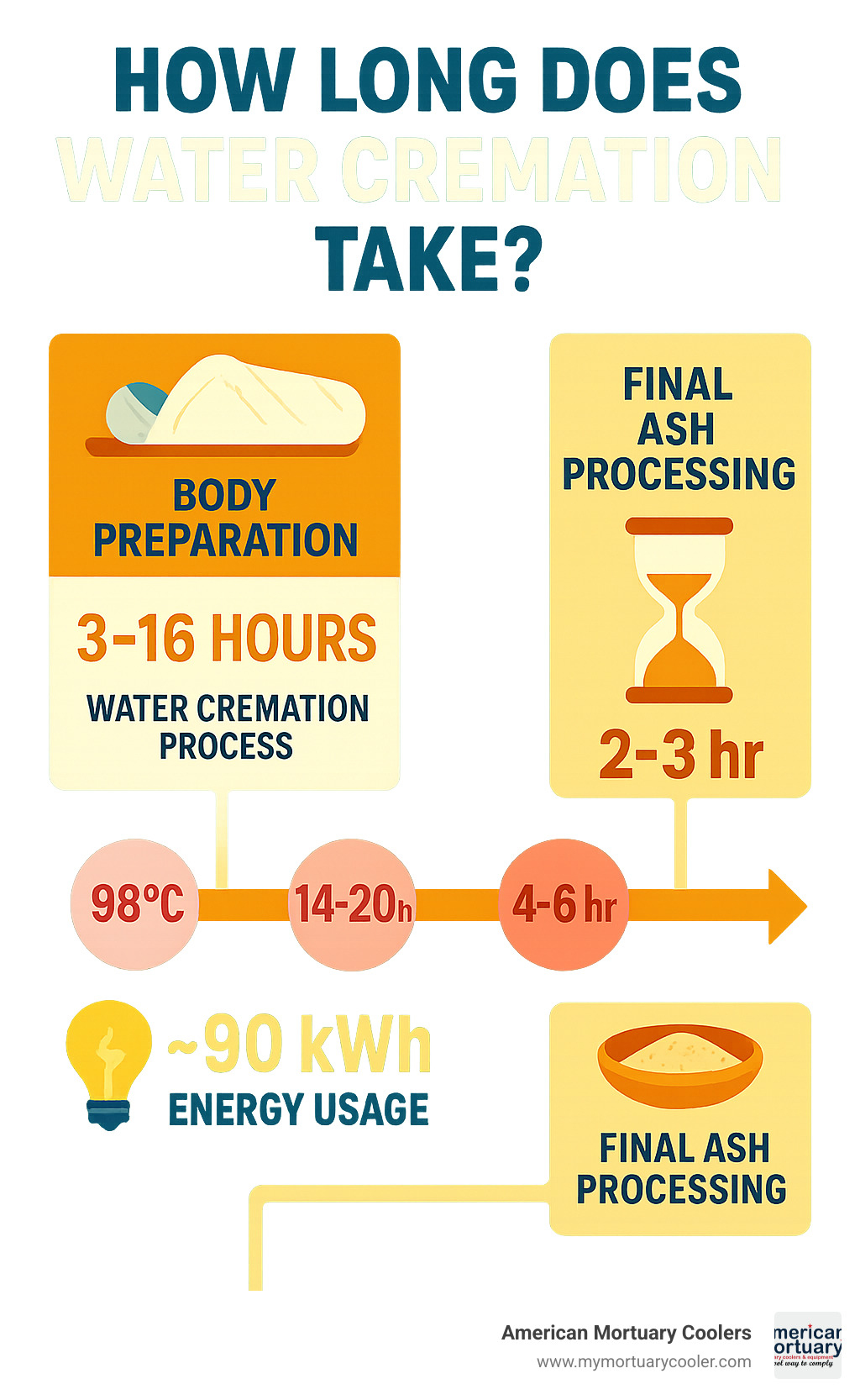Detailed infographic showing water cremation timeline from body preparation through final ash processing, including temperature options, energy usage, and comparison with traditional flame cremation duration - how long does water cremation take infographic 